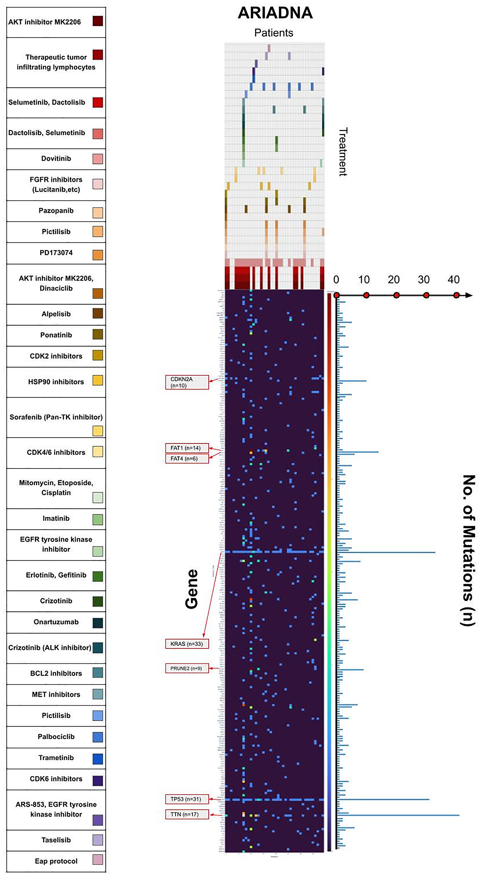 Mutational and therapeutic landscape of PCa in the Russian population