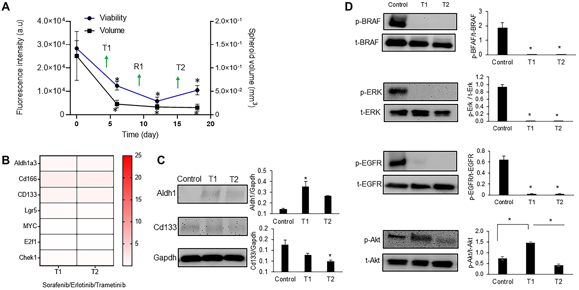 Triple combination to suppress drug resistance of CRC spheroids