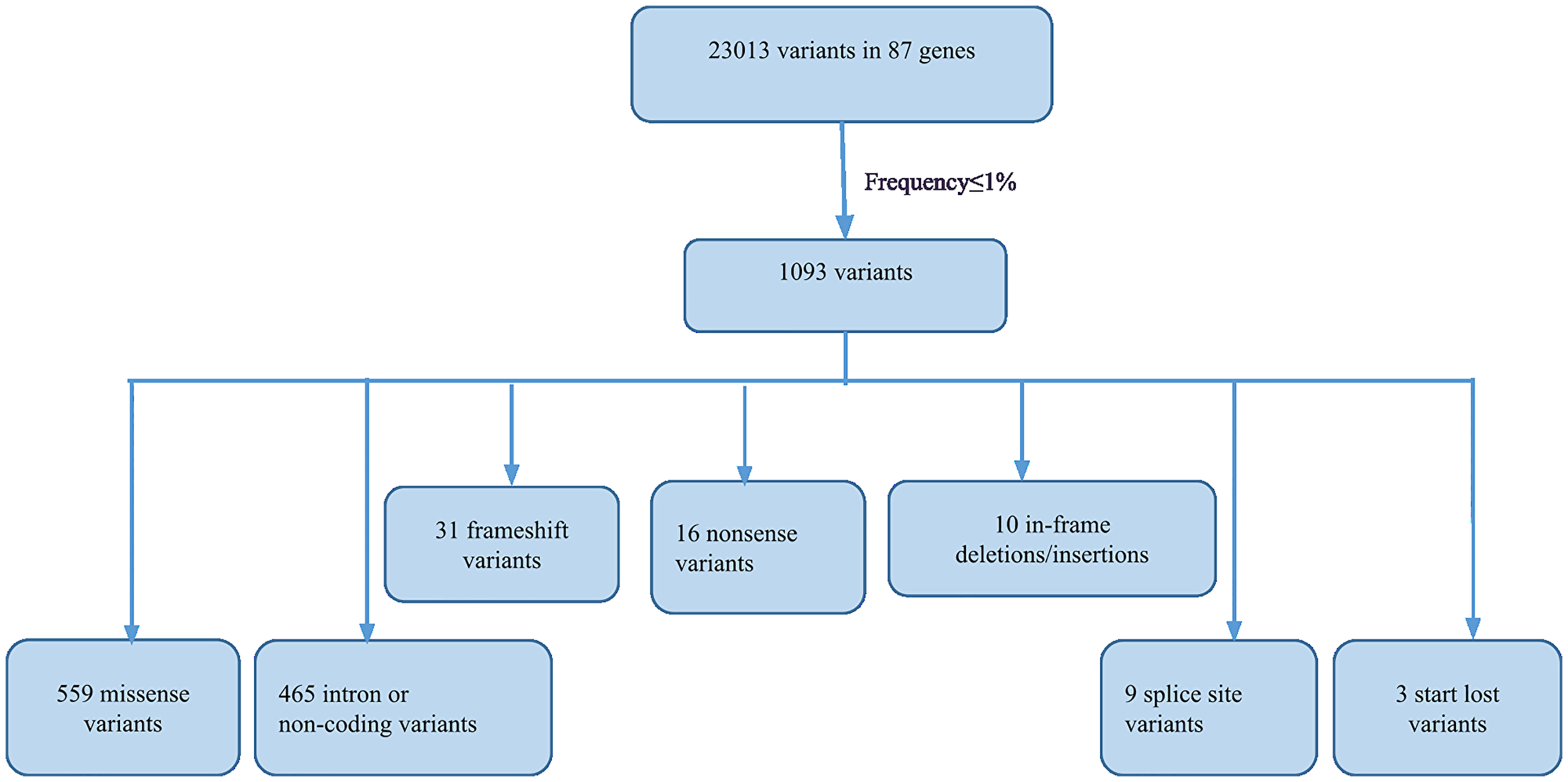 Flowchart illustrating the filtering and spectrum of rare variants detected by NGS