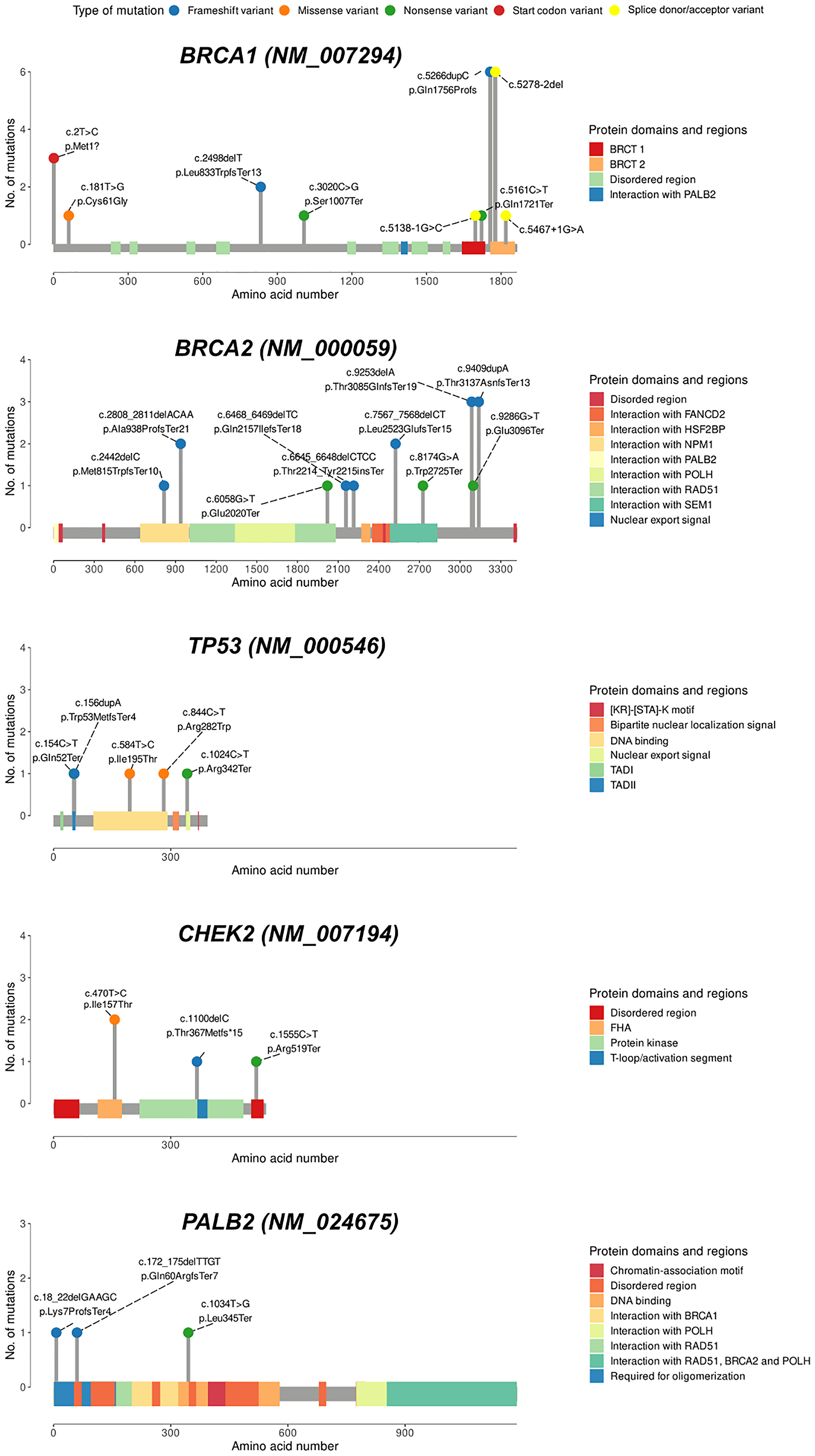Lollipop charts of the genes with the highest number of variants in this study
