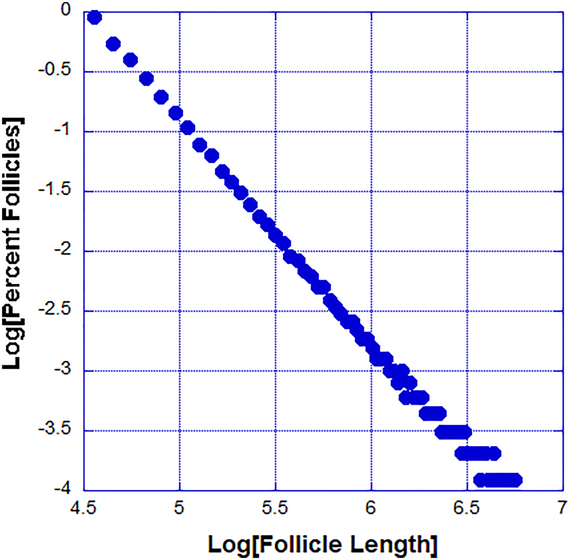 The power law probability distribution function of follicle sizes generated by our model