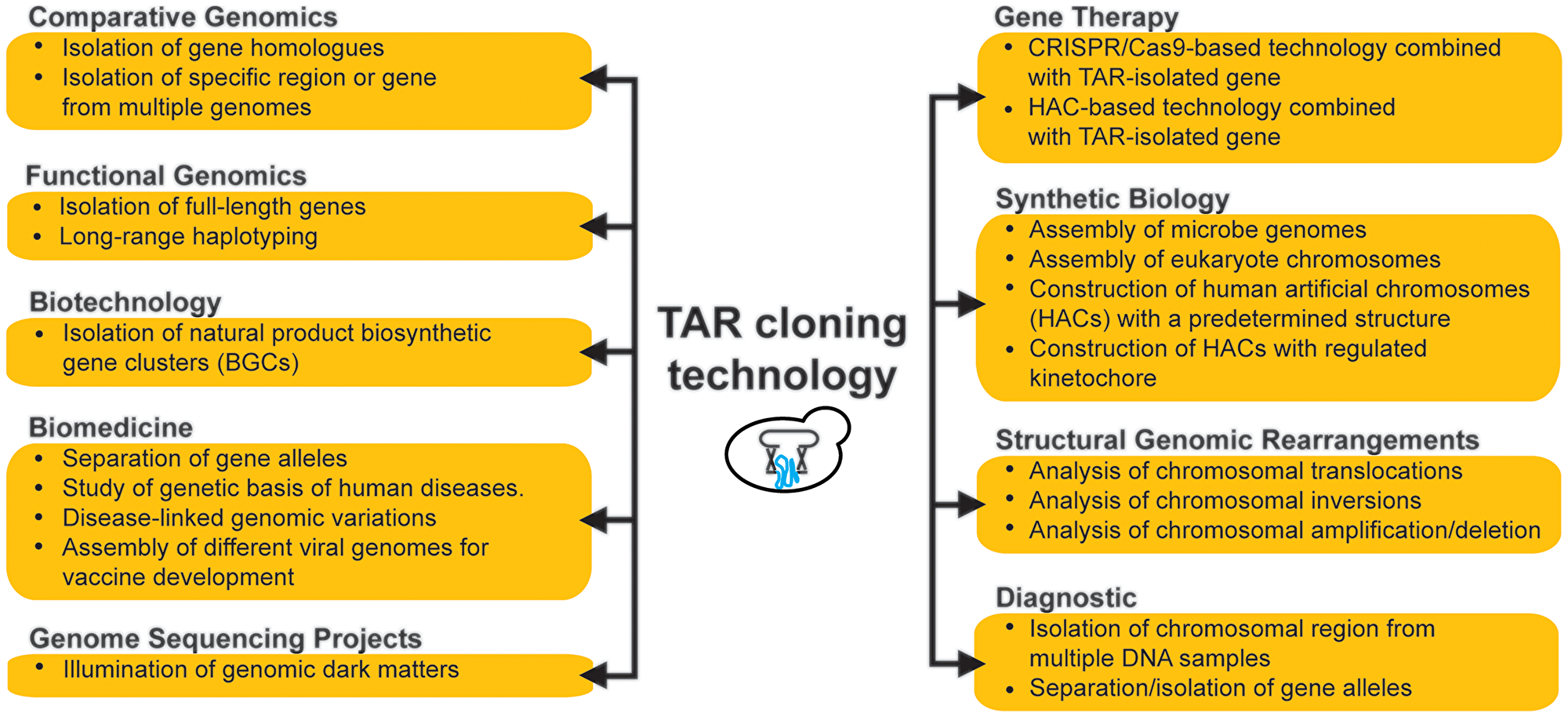 Applications of the TAR cloning technology