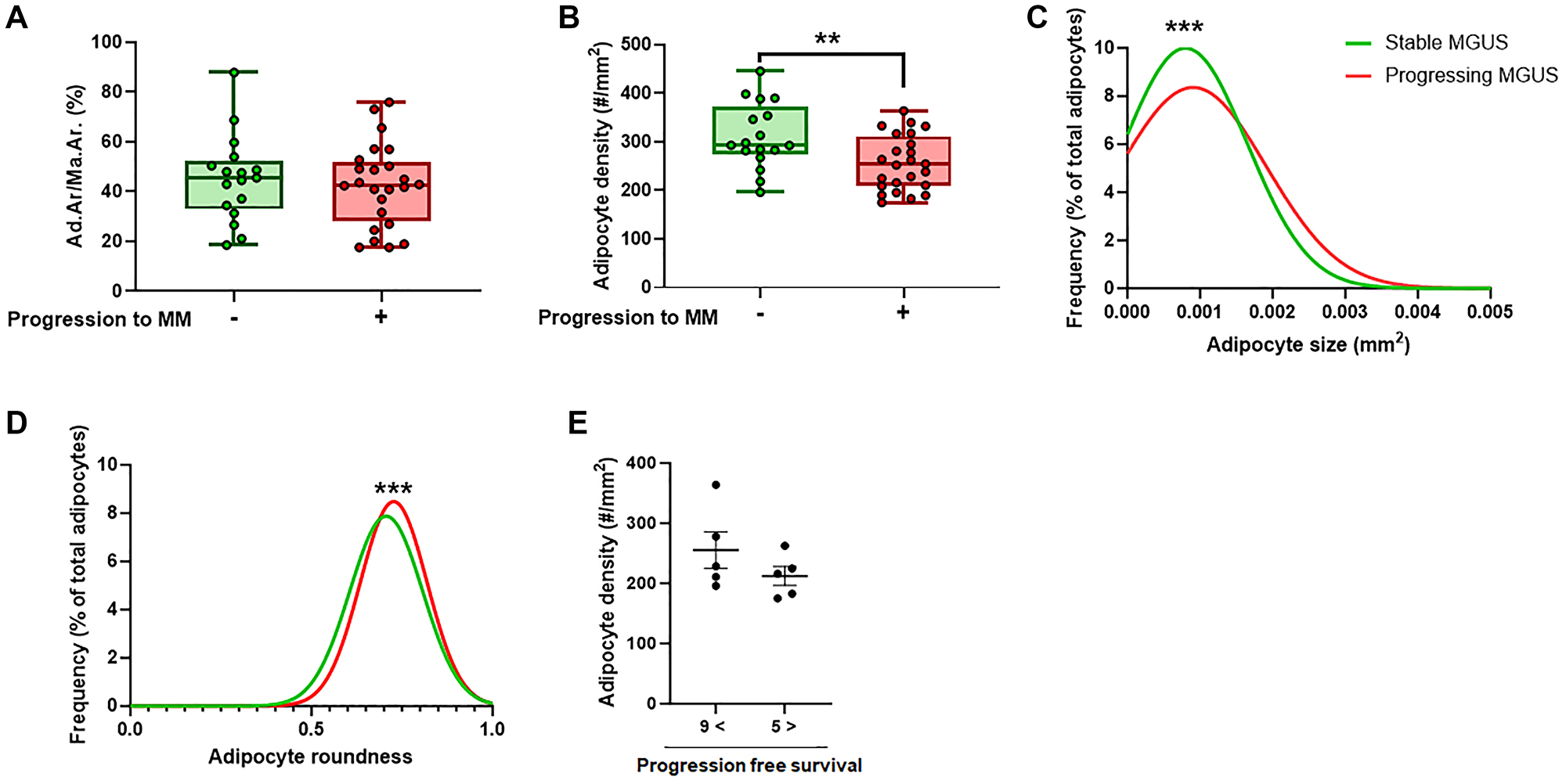 AI-assisted quantitative analysis of BMAT parameters in MGUS subjects with or without progression to MM