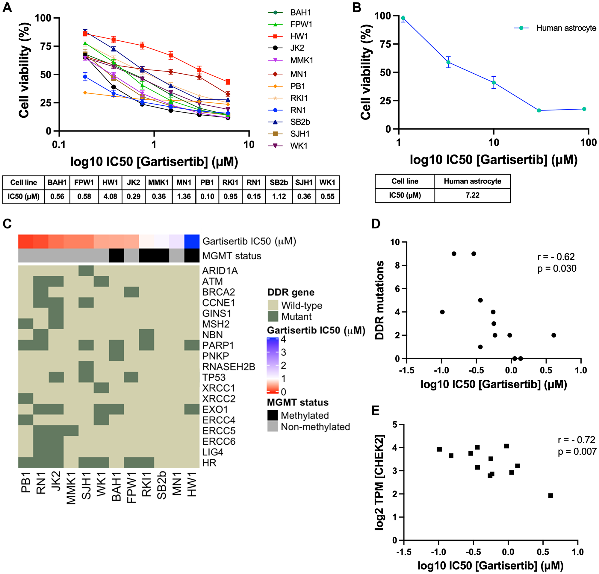 Single agent activity of gartisertib in 12 patient-derived glioblastoma cell lines and association with DDR mutations and gene expression