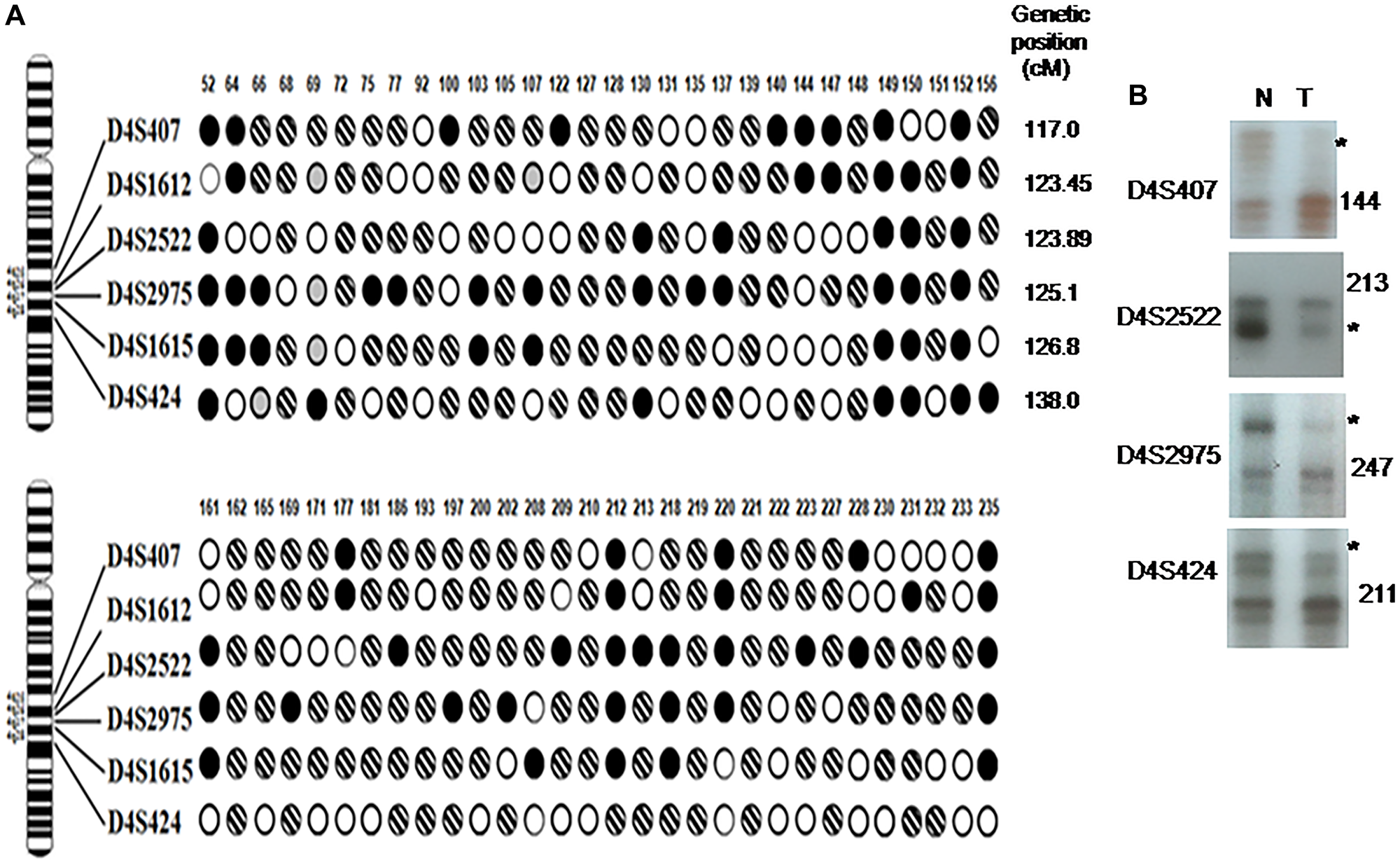 LOH on 4q25-28 in esophageal cancer samples