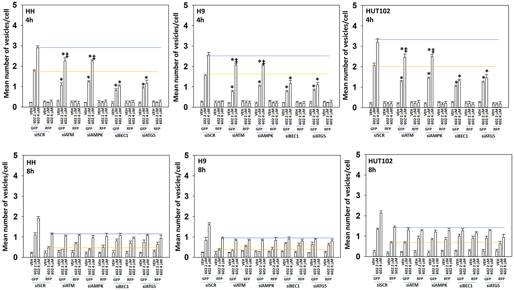 The dose-dependent increase in autophagosome formation by GZ17-6.02 requires additional macroautophagy