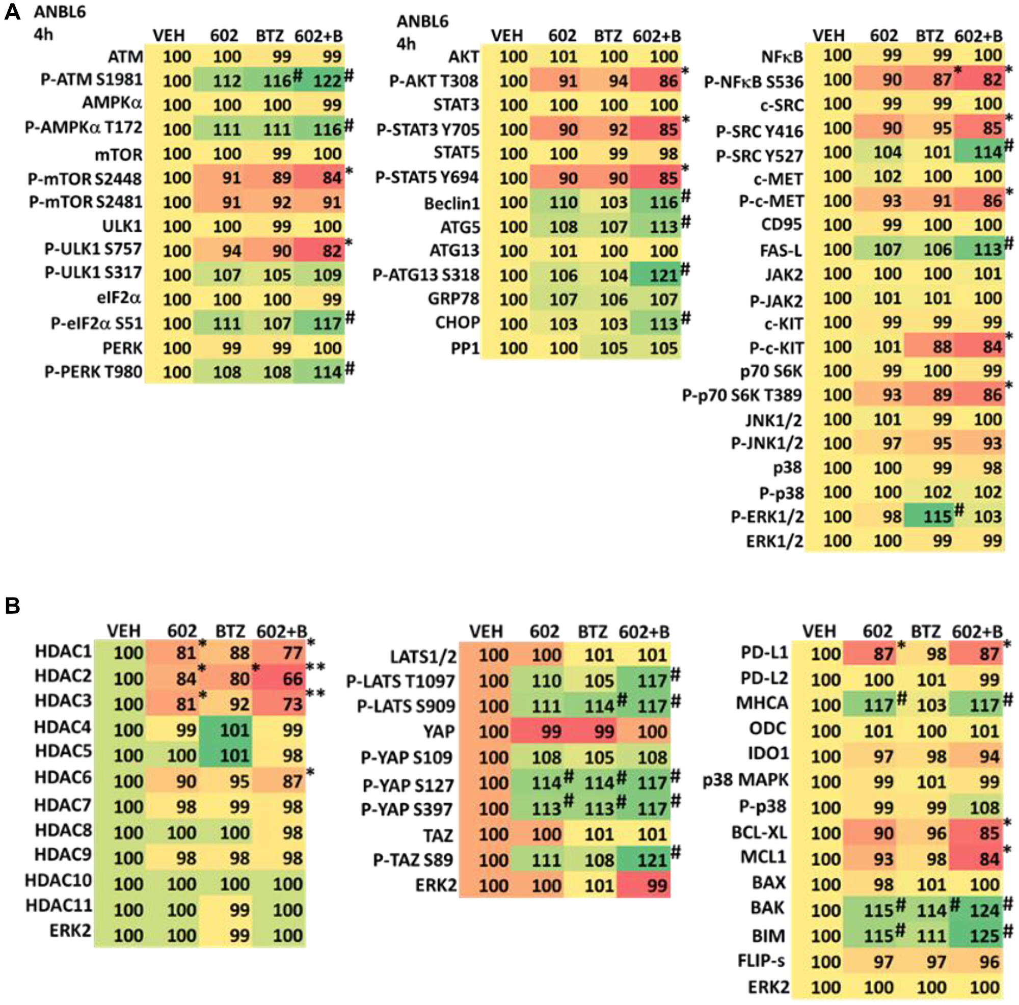 (A) GZ17-6.02 and bortezomib regulate signaling pathways in ANBL6 cells. Cells were treated with vehicle control, GZ17-6.02 (2 μM, curcumin final), bortezomib (10 nM) or the drugs in combination for 4 h. Cells were centrifuged and fixed in situ, permeabilized, stained with the indicated validated primary antibodies and imaged with secondary antibodies carrying red- and green-fluorescent tags. The staining intensity of at least 100 cells per well/condition is determined in three separate studies. The data are the normalized amount of fluorescence set at 100% comparing intensity values for vehicle control (n = 3 +/− SD). #p $!--ESC