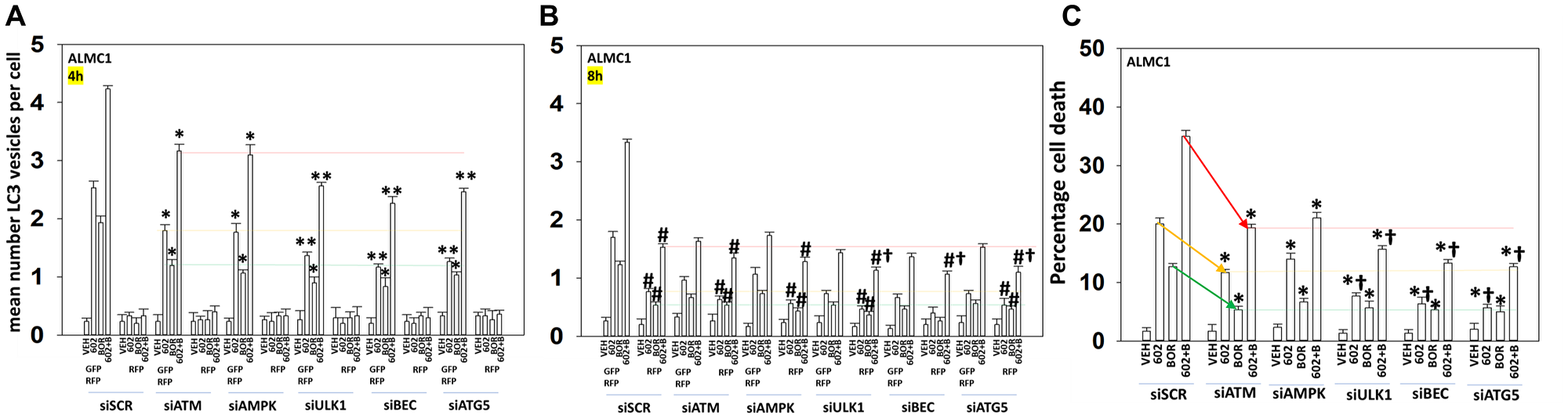 Signaling by ATM-AMPK and autophagosome formation are toxic events when cells are treated with GZ17-6.02 and bortezomib