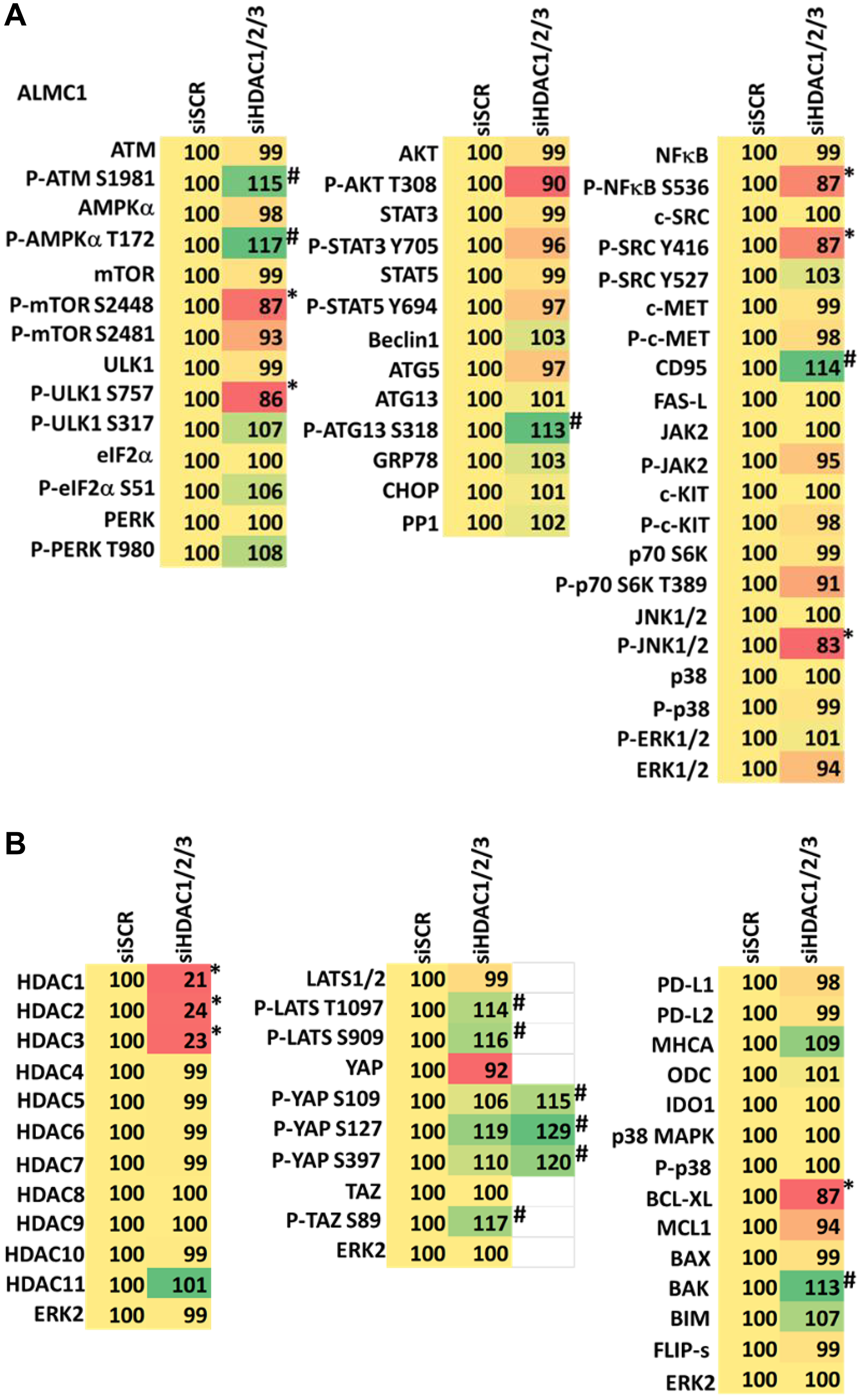 (A) Knock down of HDACs1/2/3 regulates signaling in ALMC1 cells in a fashion similar to that of GZ17-6.02. Cells were transfected with a scrambled siRNA or with siRNAs combined to knock down the expression of HDACs1/2/3. After 12 h cells were centrifuged and fixed in situ, permeabilized, stained with the indicated validated primary antibodies and imaged with secondary antibodies carrying red- and green-fluorescent tags. The staining intensity of at least 100 cells per well/condition is determined in three separate studies. The data are the normalized amount of fluorescence set at 100% comparing intensity values for vehicle control (n = 3 +/− SD). #p $!--ESC