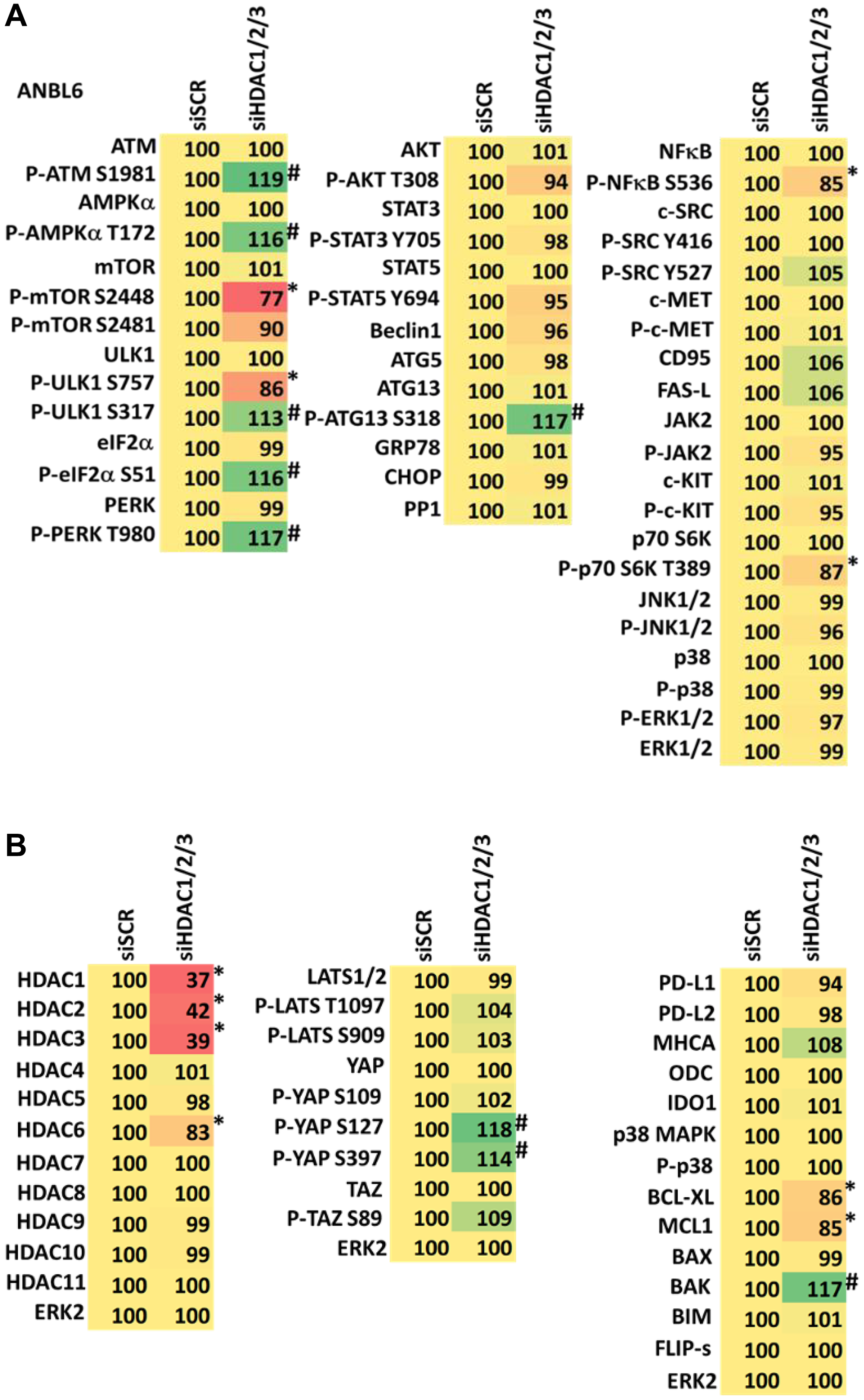 (A) Knock down of HDACs1/2/3 regulates signaling in ANBL6 cells in a fashion similar to that of GZ17-6.02. Cells were transfected with a scrambled siRNA or with siRNAs combined to knock down the expression of HDACs1/2/3. After 12 h cells were centrifuged and fixed in situ, permeabilized, stained with the indicated validated primary antibodies and imaged with secondary antibodies carrying red- and green-fluorescent tags. The staining intensity of at least 100 cells per well/condition is determined in three separate studies. The data are the normalized amount of fluorescence set at 100% comparing intensity values for vehicle control (n = 3 +/− SD). #p $!--ESC