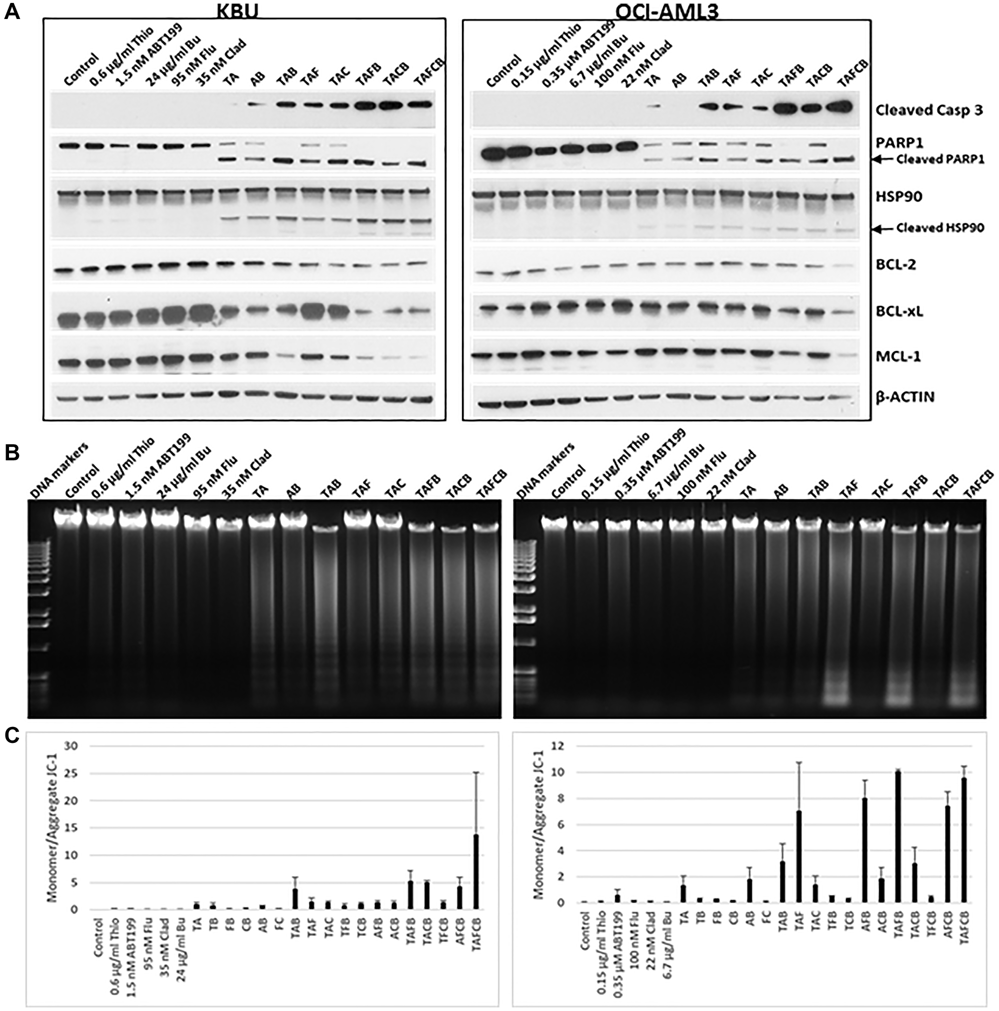 Effects of various drug combinations on the levels and modifications of proteins involved in cell death and survival