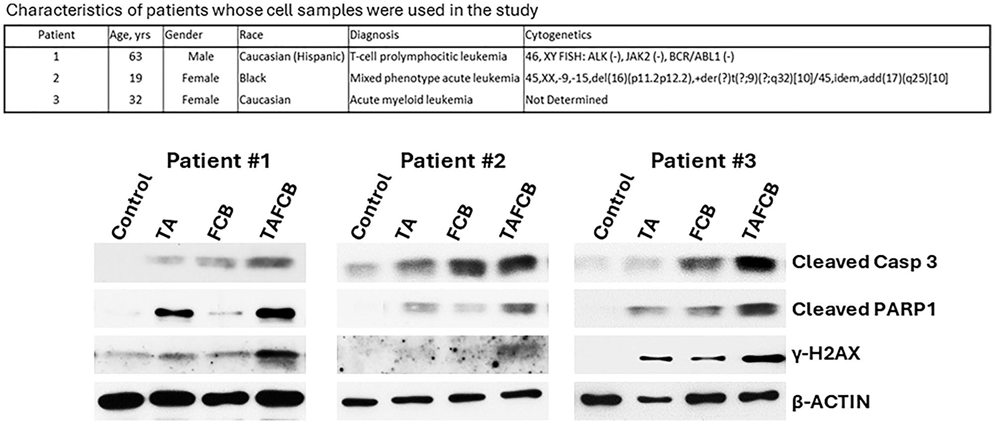 Effects of various drug combinations on molecular markers of apoptosis in patient-derived cell samples