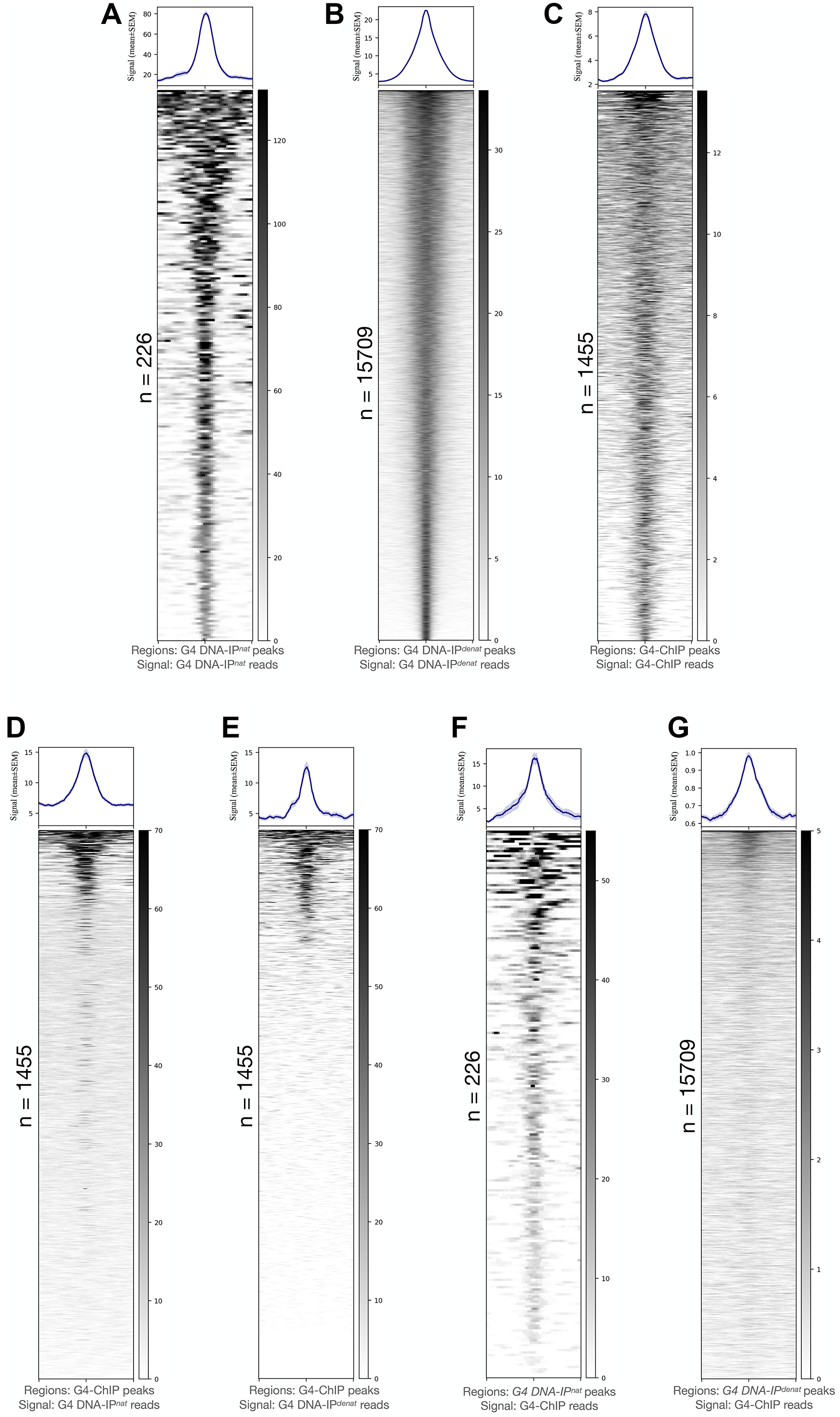 G4 potential of human genome characterized through G4 immunoprecipitation in vitro and its comparison with G4-ChIP output