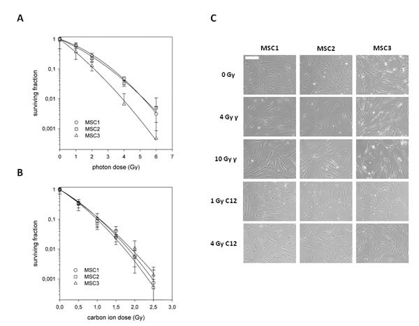 fig1