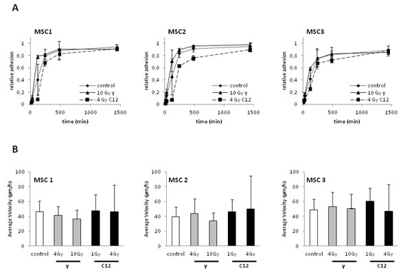 fig2