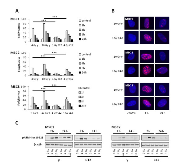 fig6