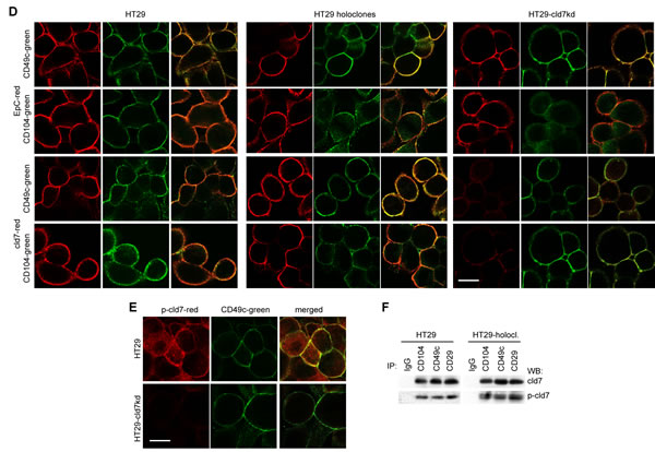 fig3b