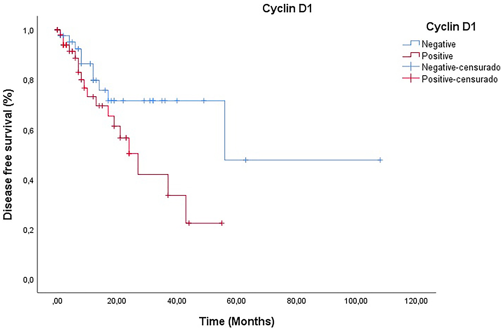 Analysis of disease-free survival of patients according to the presence and absence of cyclin D1 (Log-Rank p = 0.669)