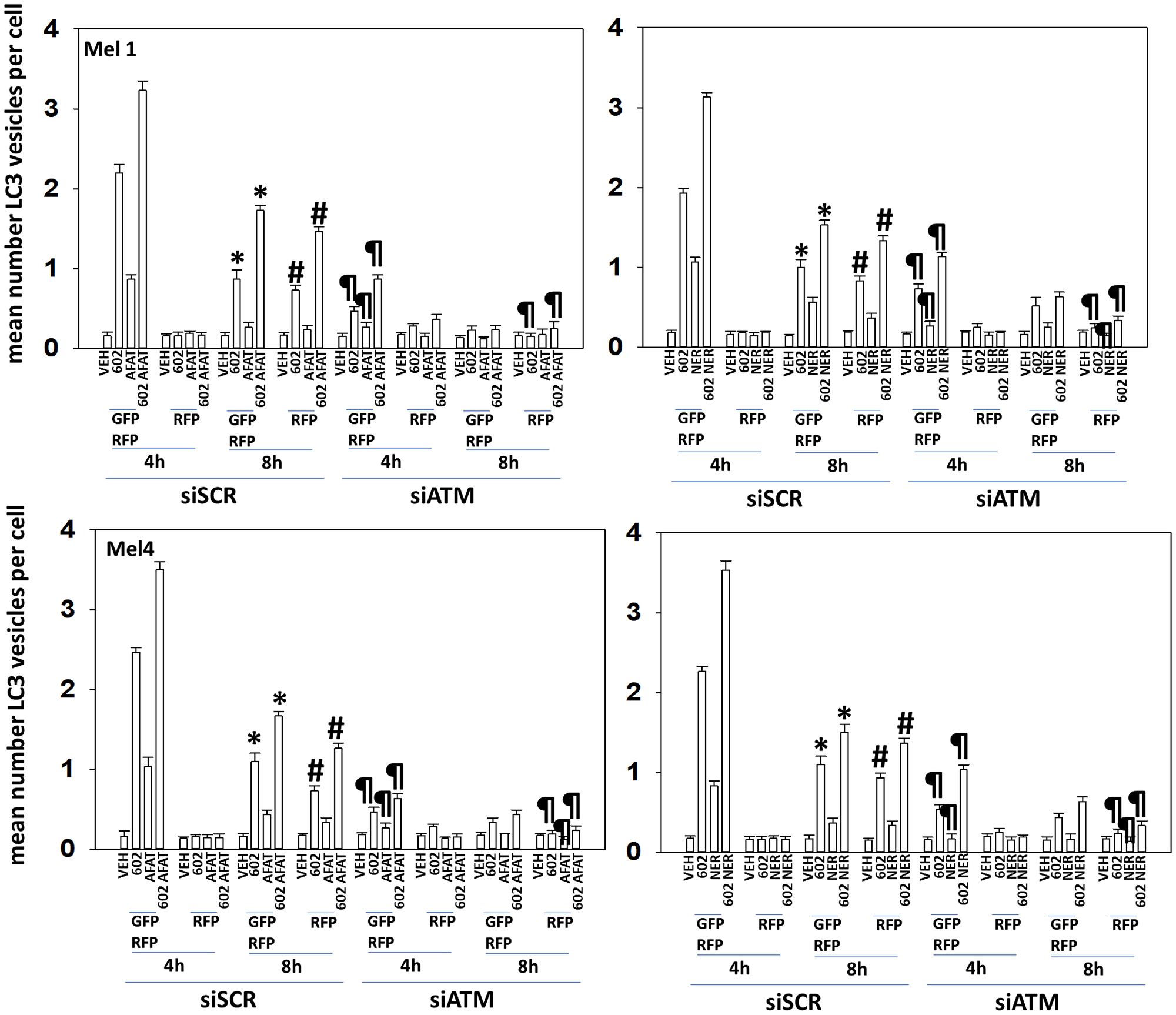 Regulation of macroautophagy by (GZ17-6.02 + ERBB inhibitors) requires ATM