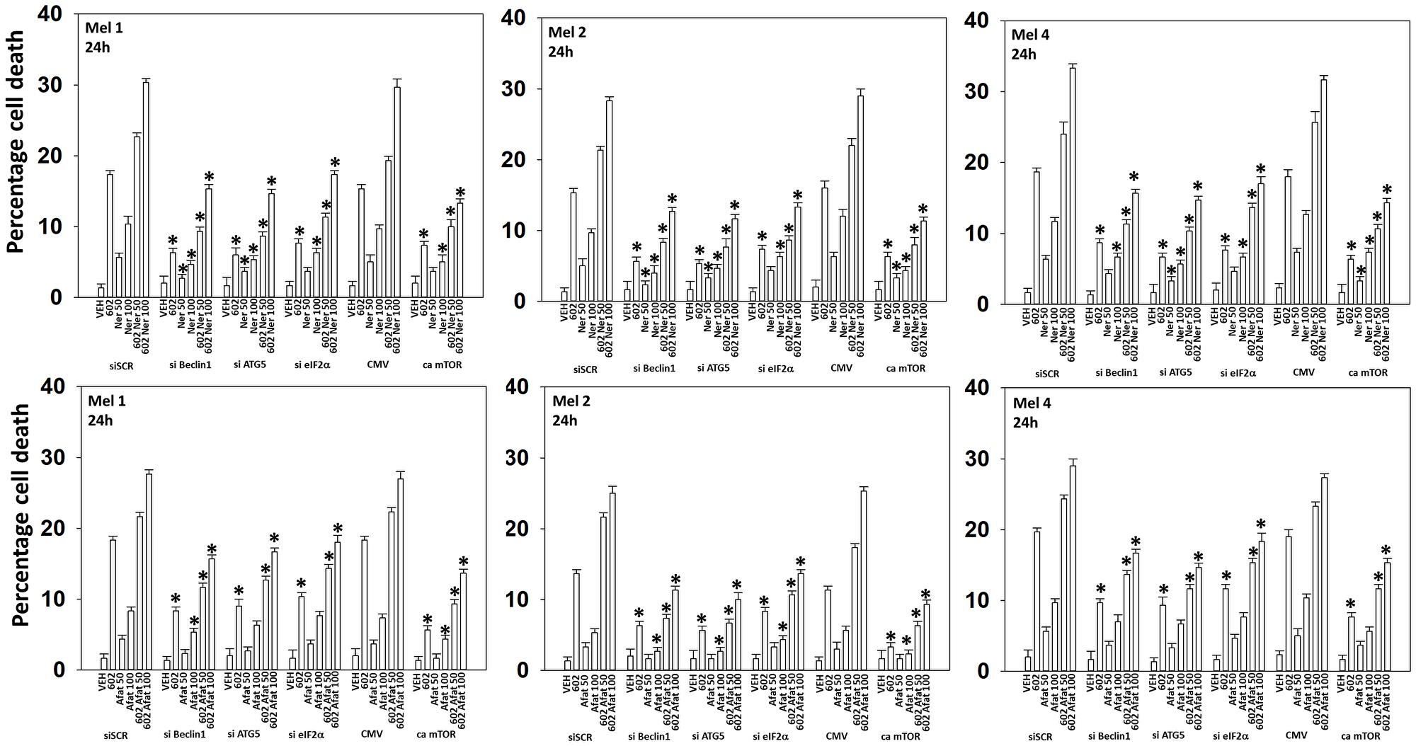 Cell-killing by (GZ17-6.02 + ERBB inhibitors) requires Beclin1, ATG5 and eIF2α, and is reduced by expression of activated mTOR
