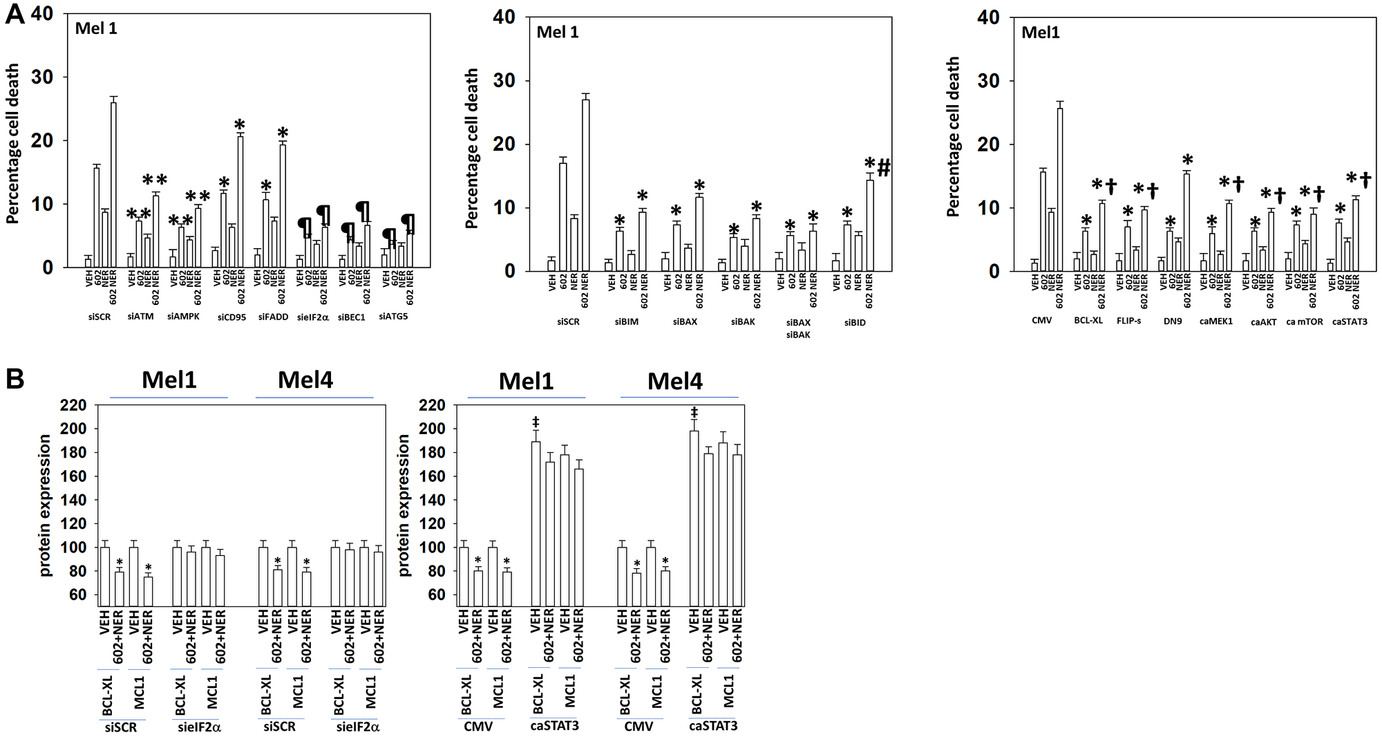Drug lethality requires signaling by ATM-AMPK and the actions of toxic BH3 domain proteins