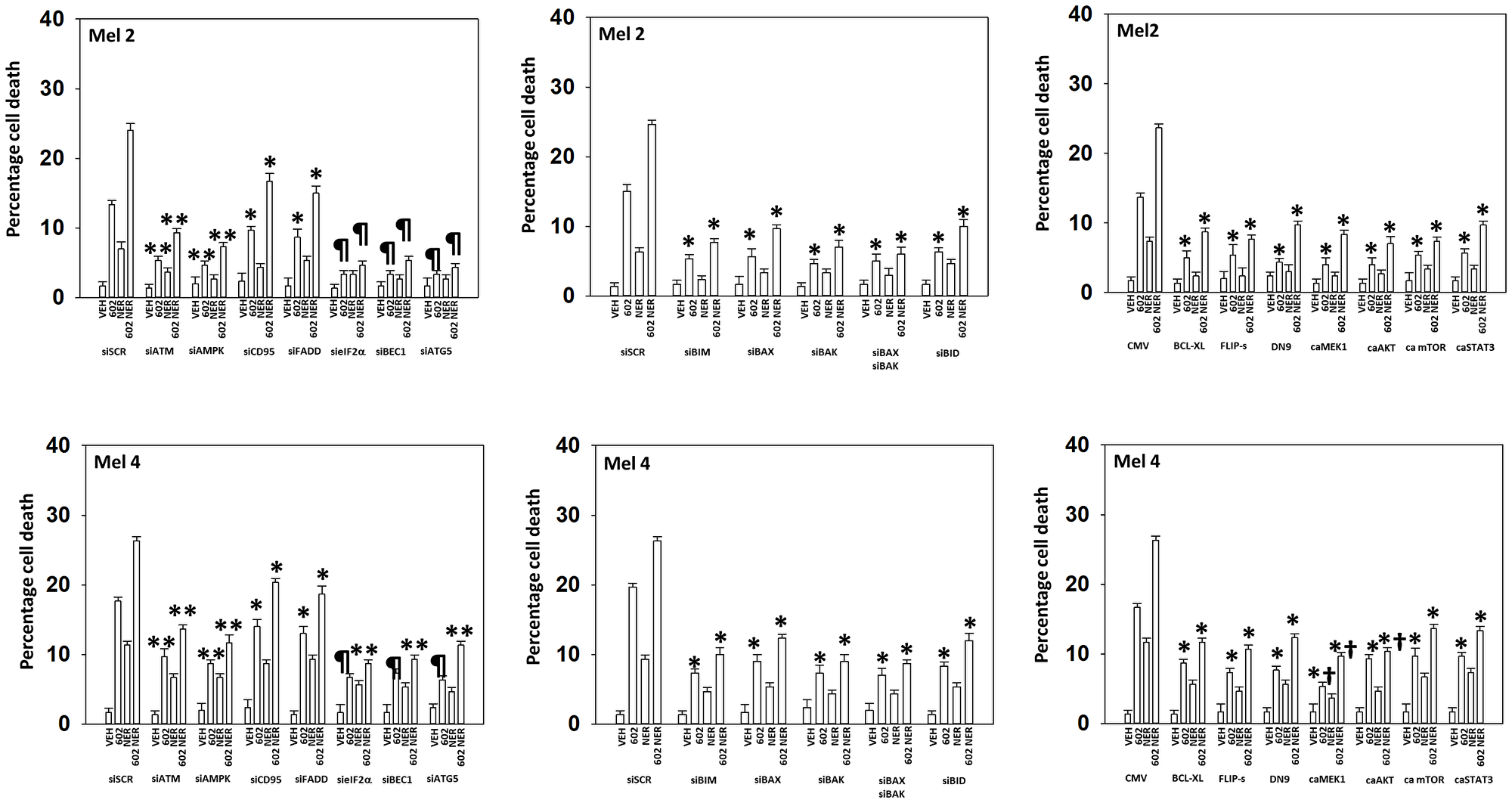 In MEL2 and MEL4 cells drug lethality requires signaling by ATM-AMPK and the actions of toxic BH3 domain proteins