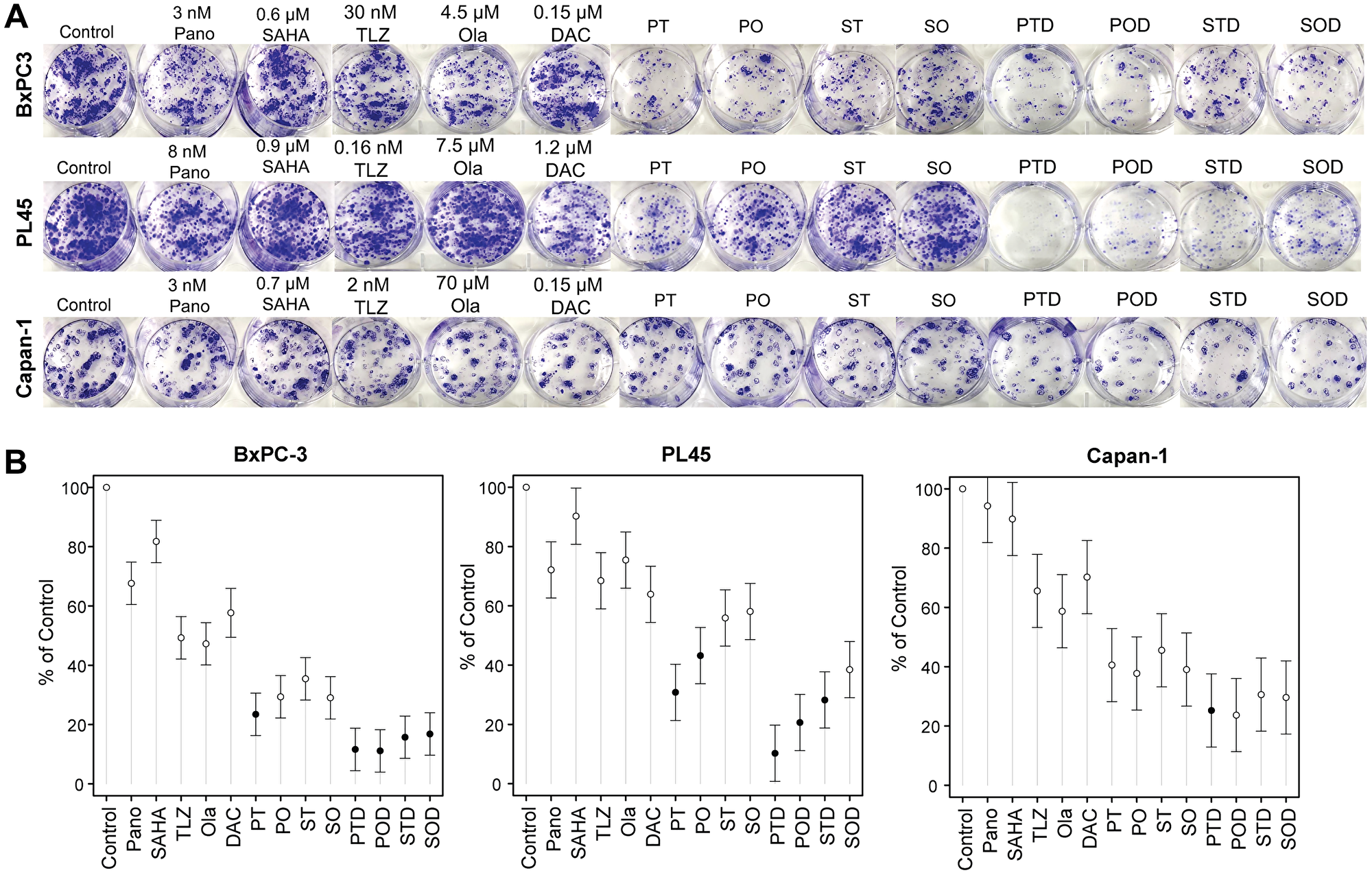 Colony formation assay