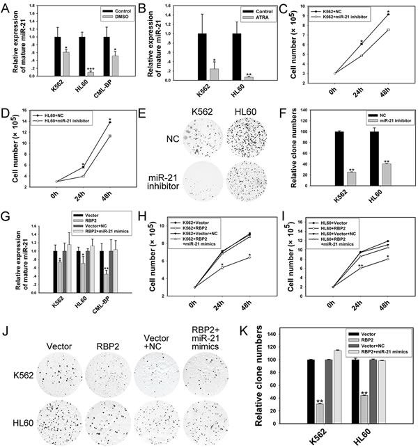 fig4