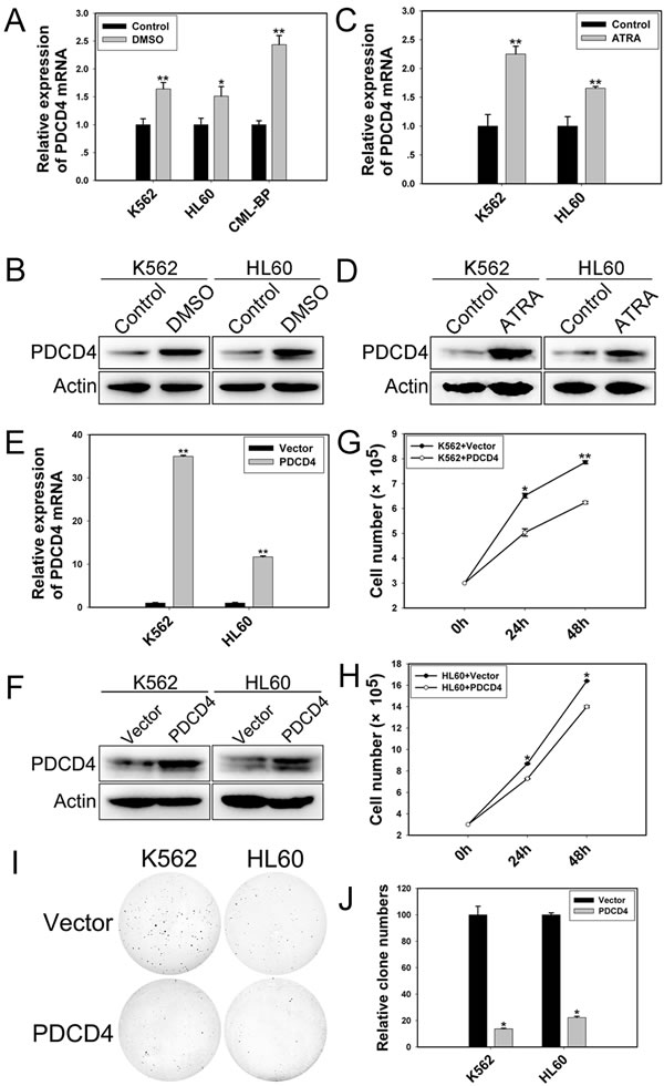 fig6