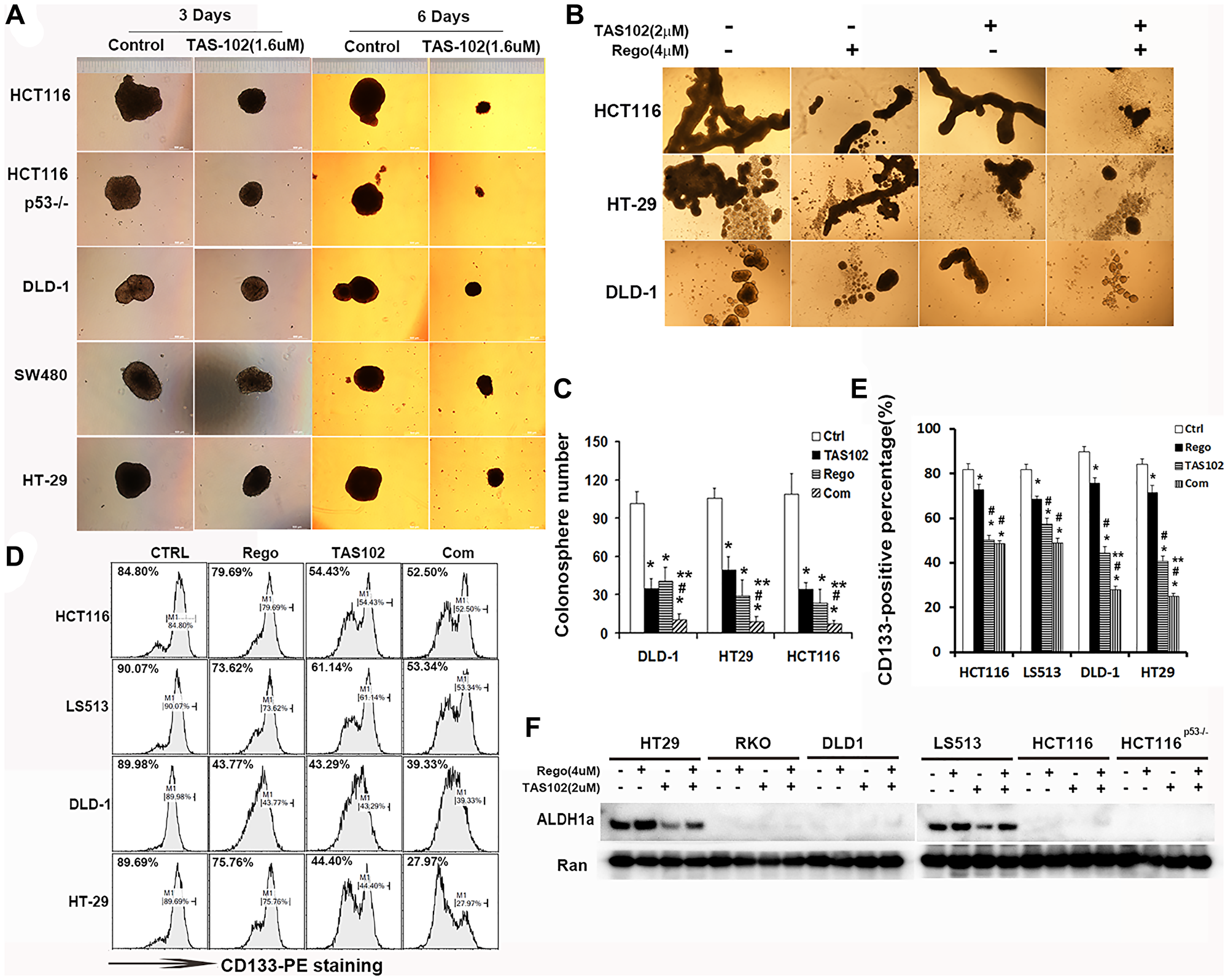 Combination of TAS102 (trifluridine/tipiracil) with regorafenib inhibits the stemness of colorectal cancer cells