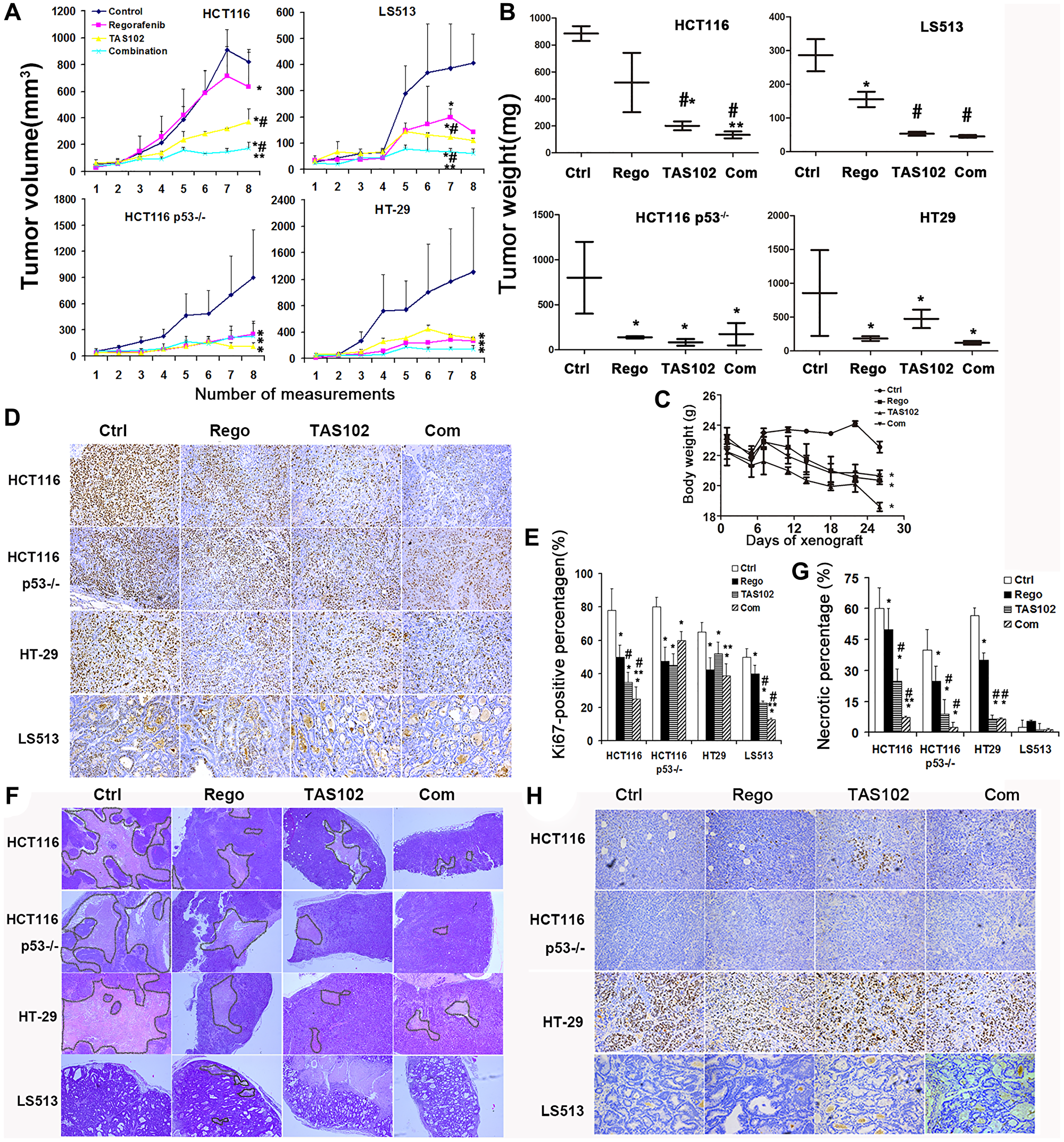 Therapeutic effects of TAS102 plus regorafenib in xenografted colorectal tumors