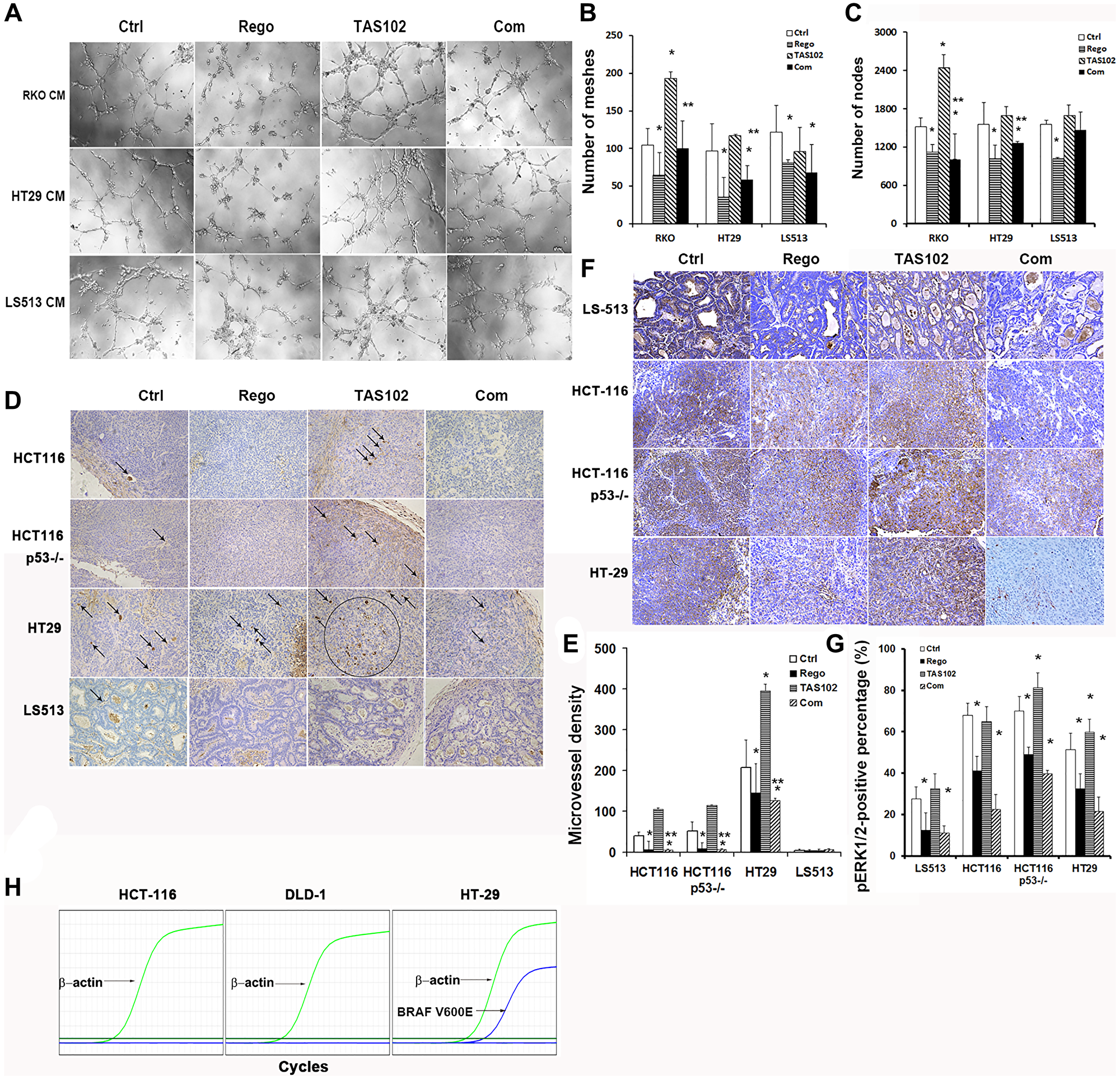 Tumor angiogenesis assessment of regorafenib in combination with TAS102 in vitro and in vivo