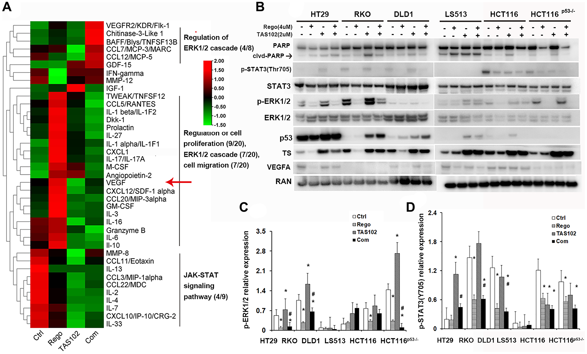 TAS102 in combination with regorafenib inhibits ERK1/2 and STAT3 signaling