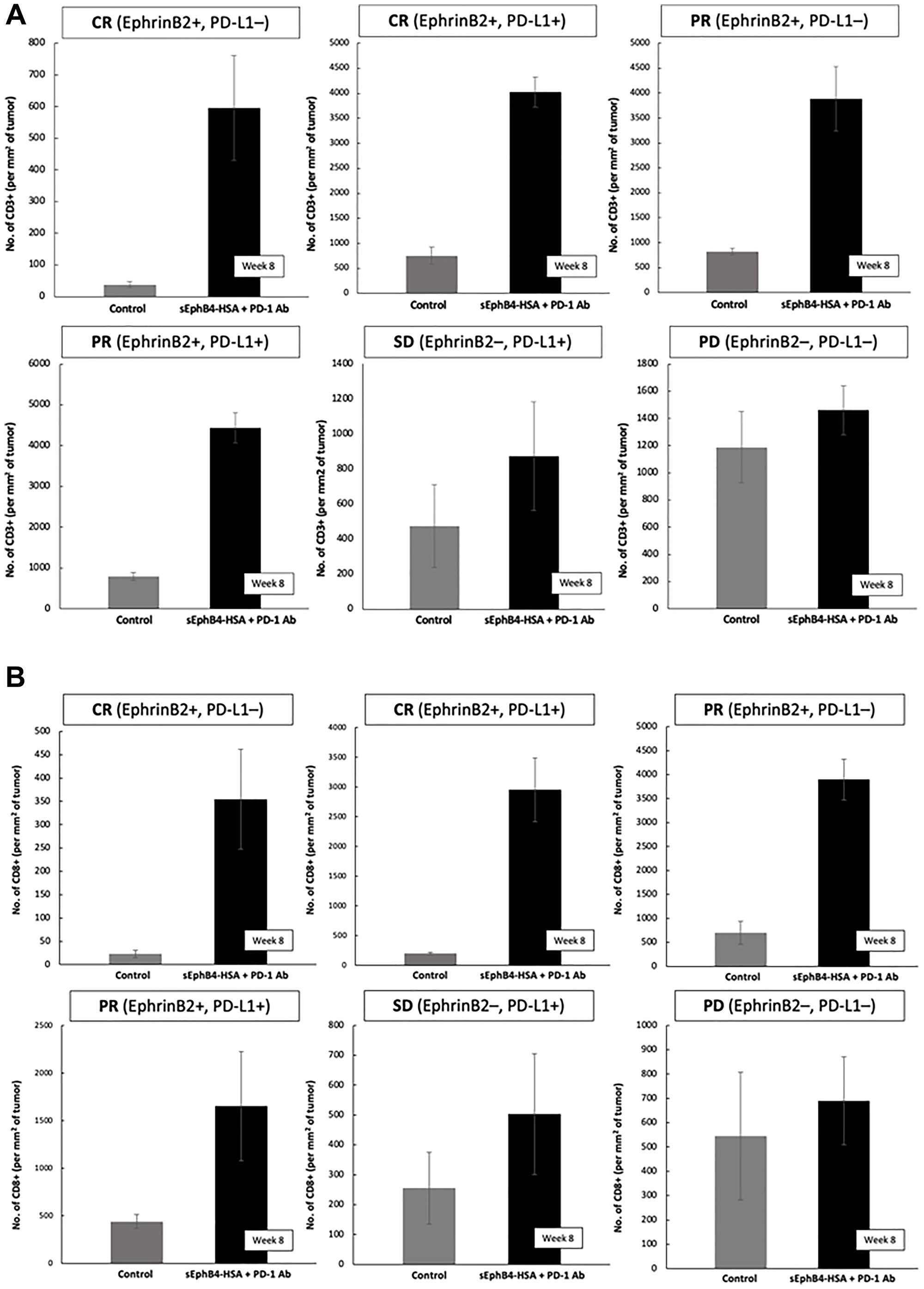 (A) Intatumoral CD8+ cell counts before initiation of therapy with sEphB4-HSA + pembrolizumab and on-therapy at week 8 biopsy. (B) Intatumoral CD8+ cell counts before initiation of therapy with sEphB4-HSA + pembrolizumab and on-therapy at week 8 biopsy.