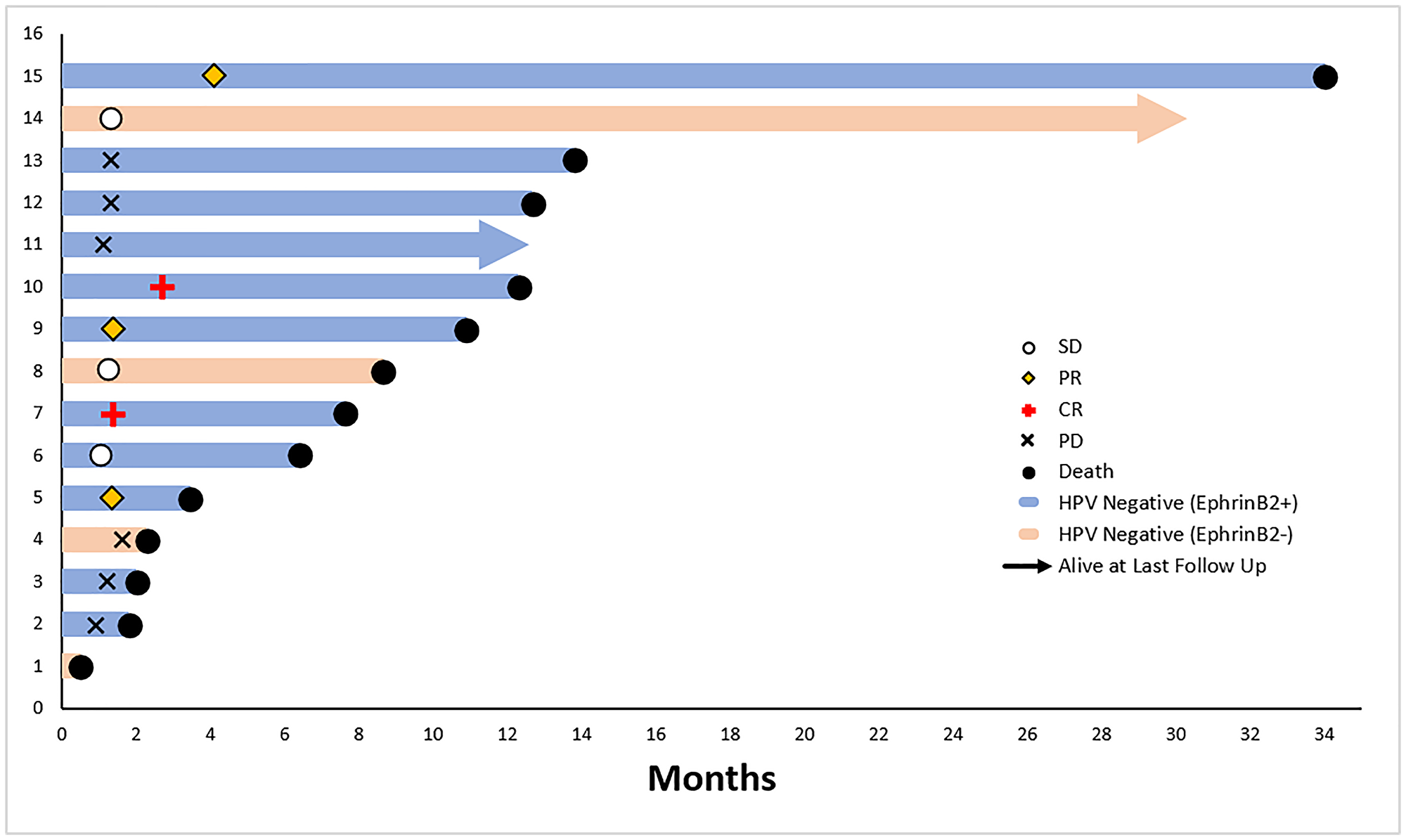 Overall survival swimmer plot, HPV-negative intent-to-treat patient population on clinical trial of sEphB4-HSA plus pembrolizumab (n = 15)