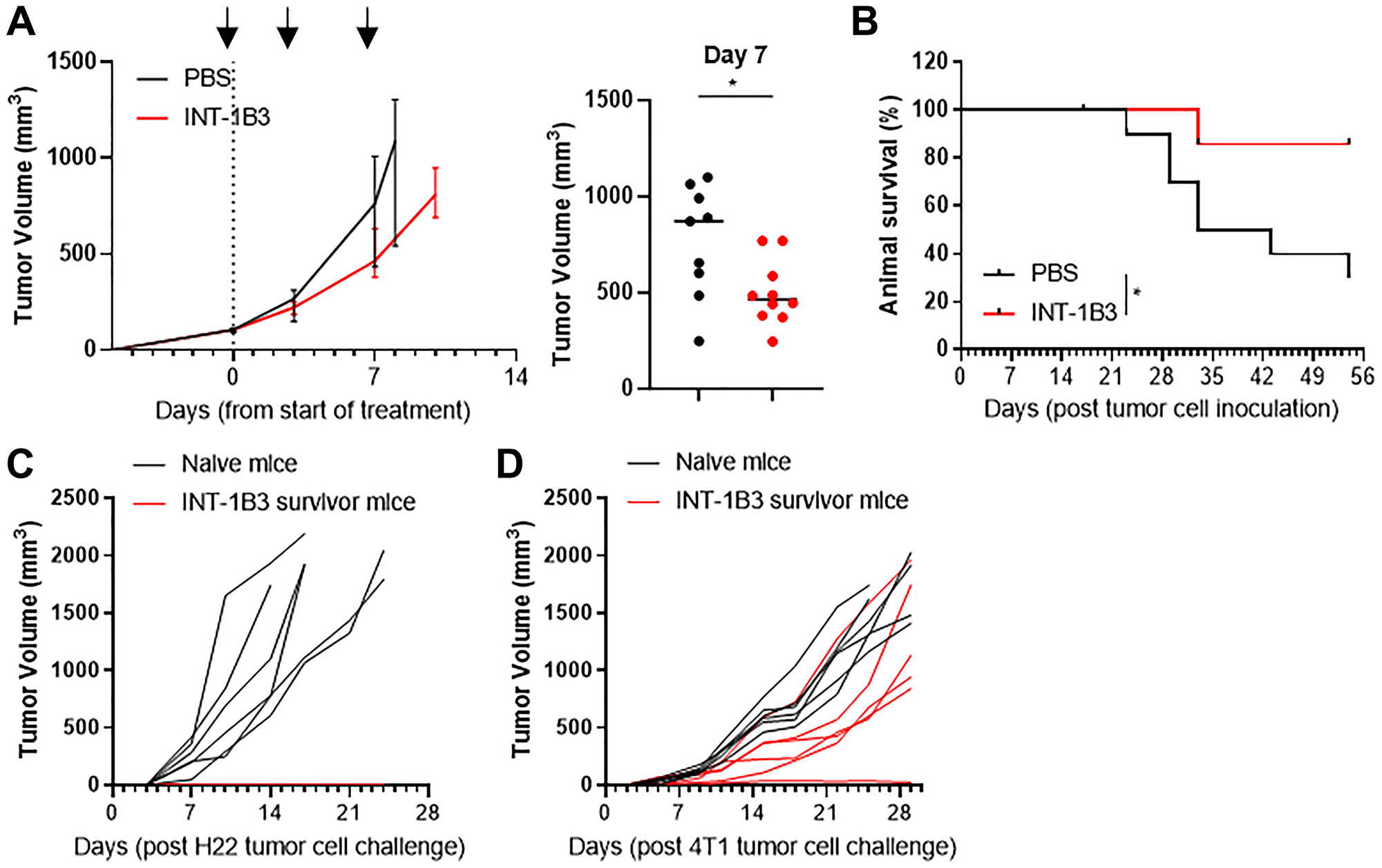 INT-1B3 also induces long-term anti-tumor responses in mice bearing syngeneic H22 liver tumors