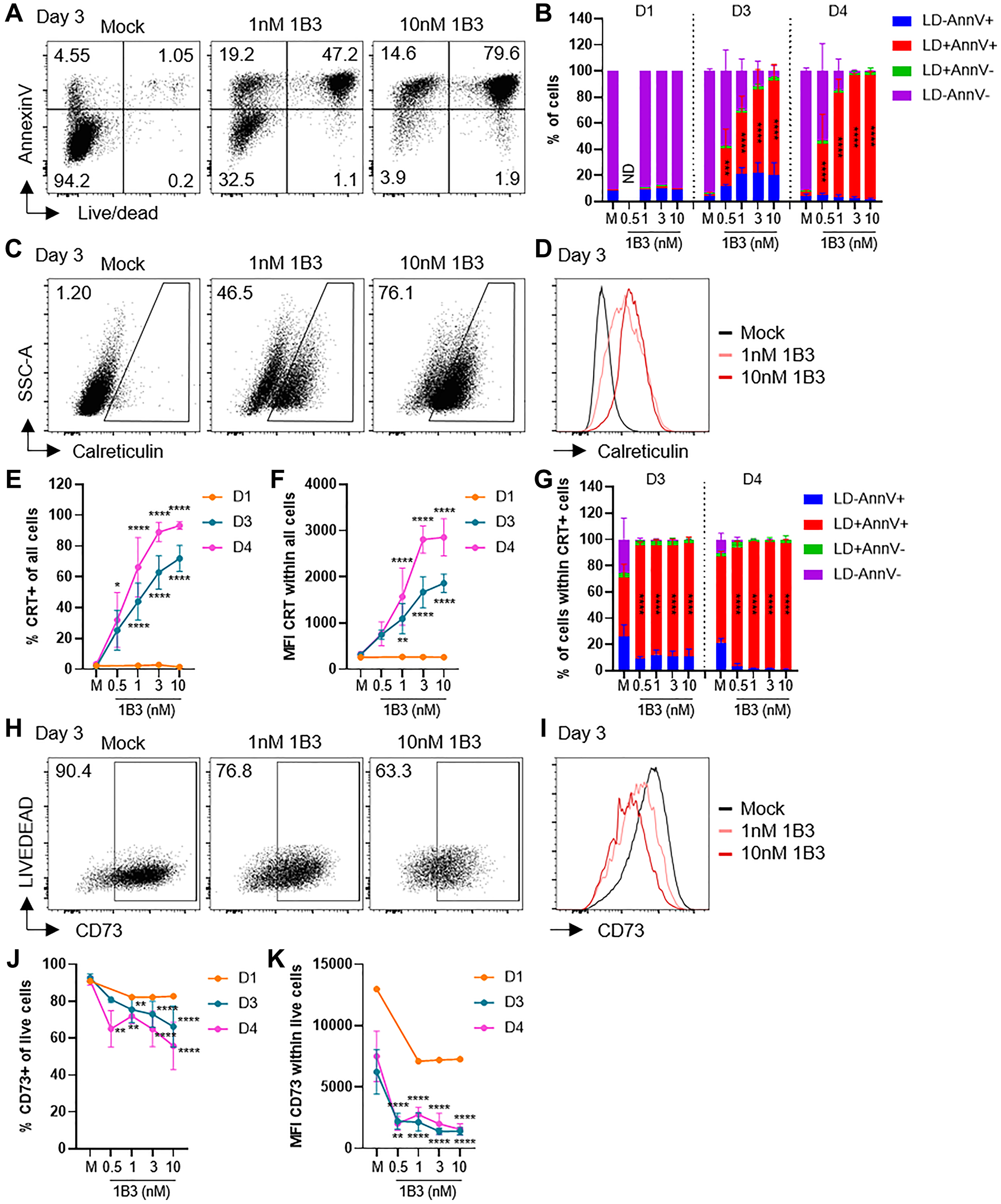 1B3 induces upregulation of calreticulin and downregulation of CD73 on tumor cells