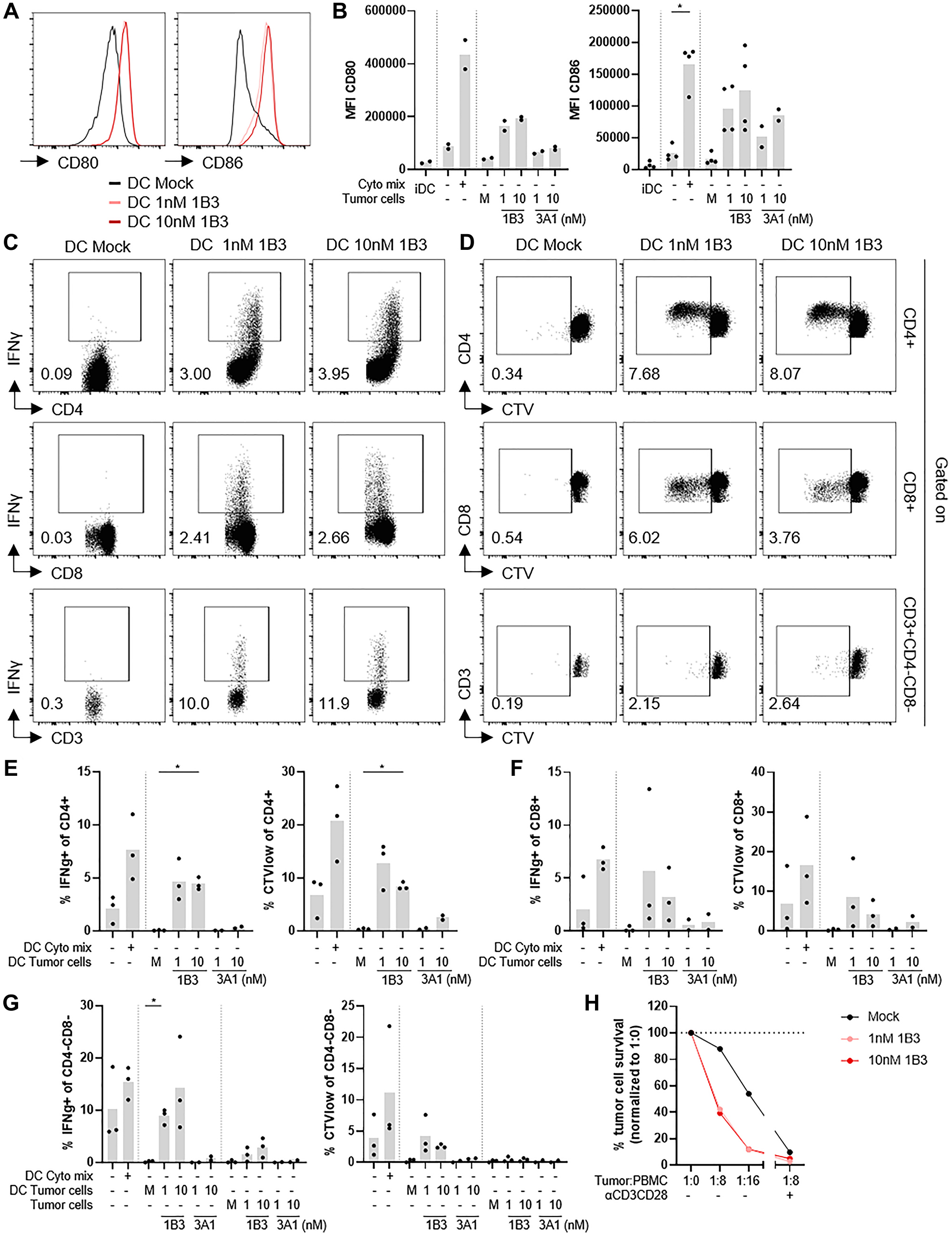 1B3 transfected tumor cells induce DC maturation and these DC can activate CD4+ and CD8+ T cells, and CD4-CD8- T cells