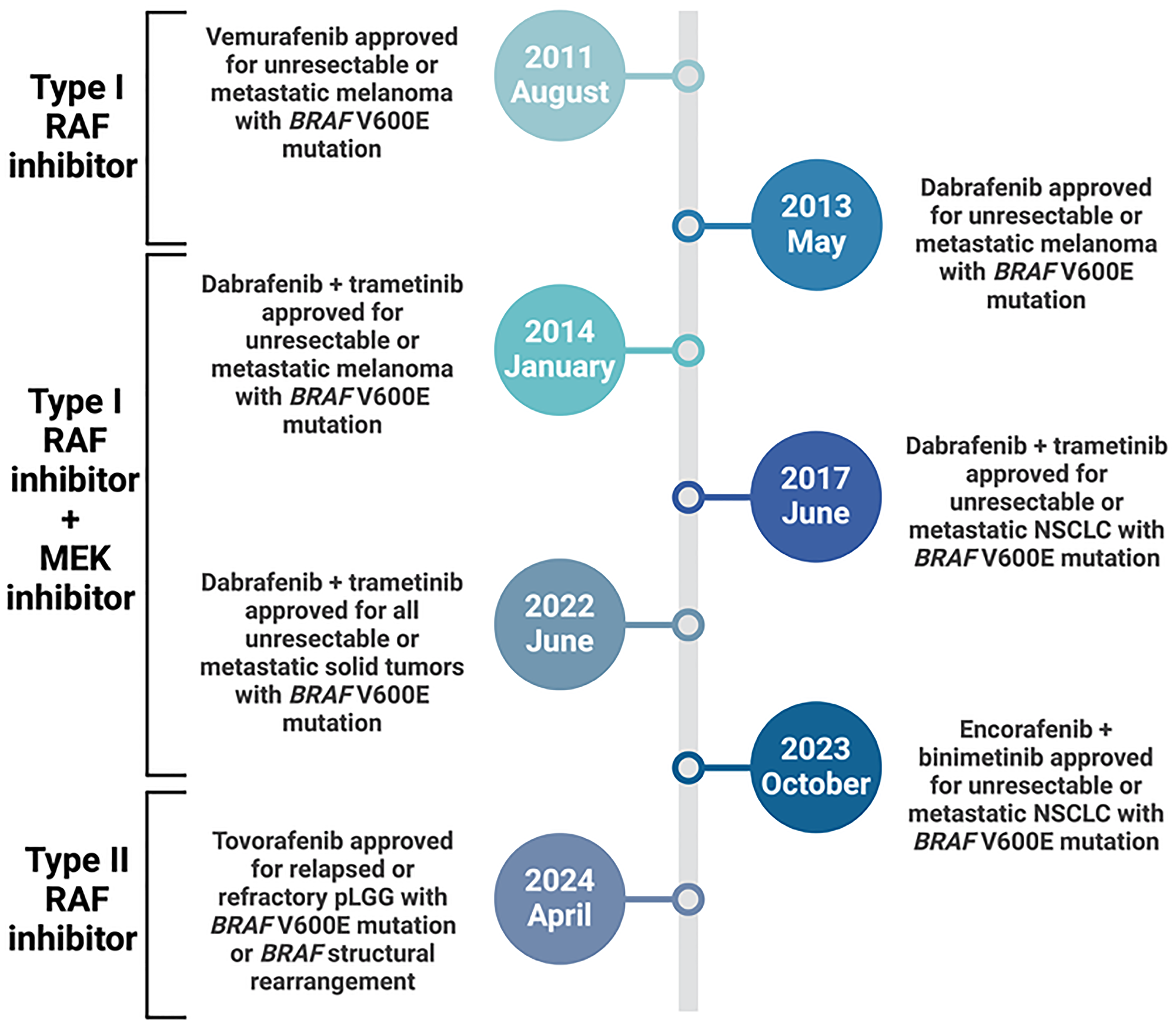 Timeline showing major FDA approvals involving BRAF/MEK inhibitors
