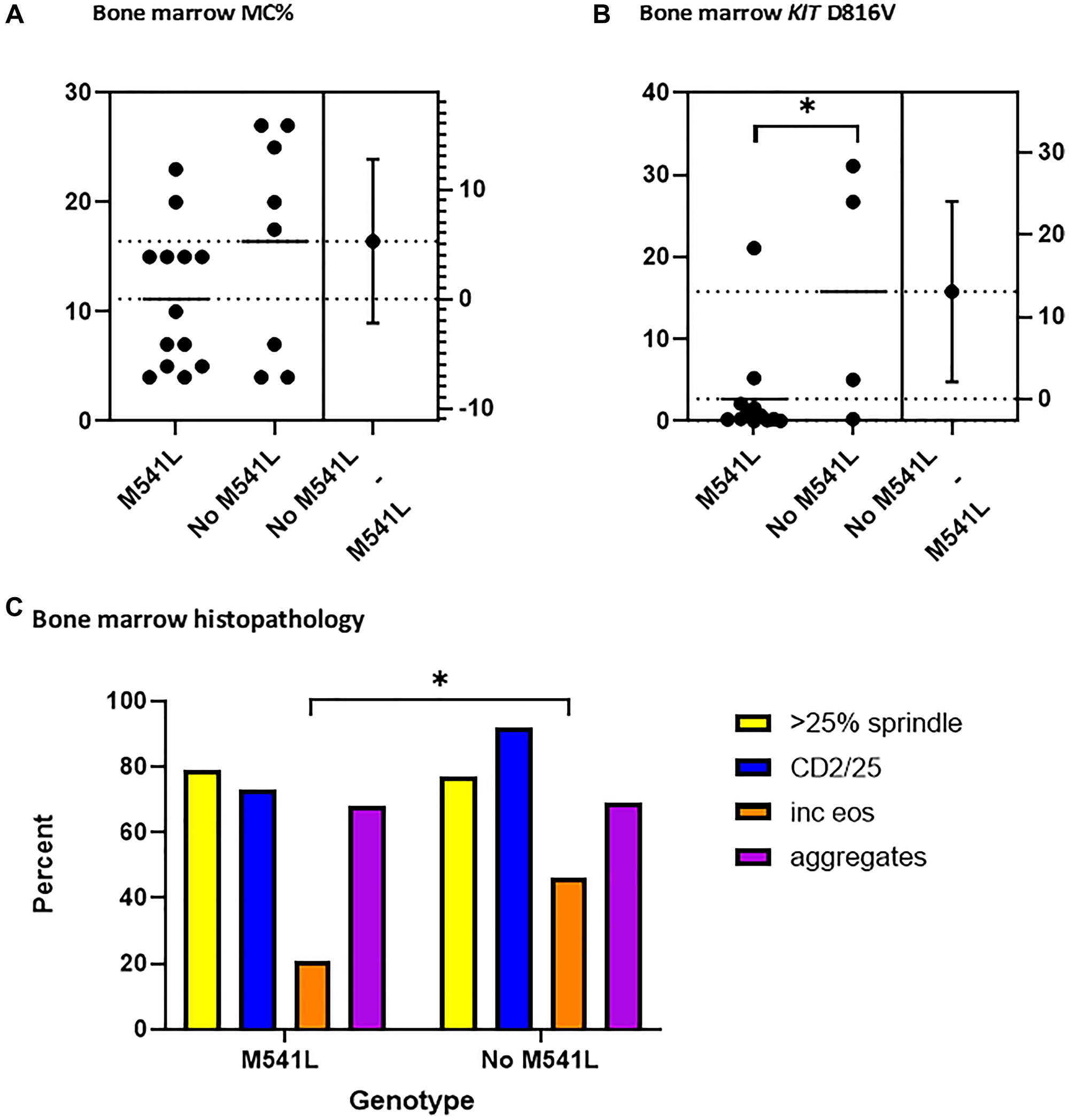 Bone marrow histopathology and KIT M541L variant