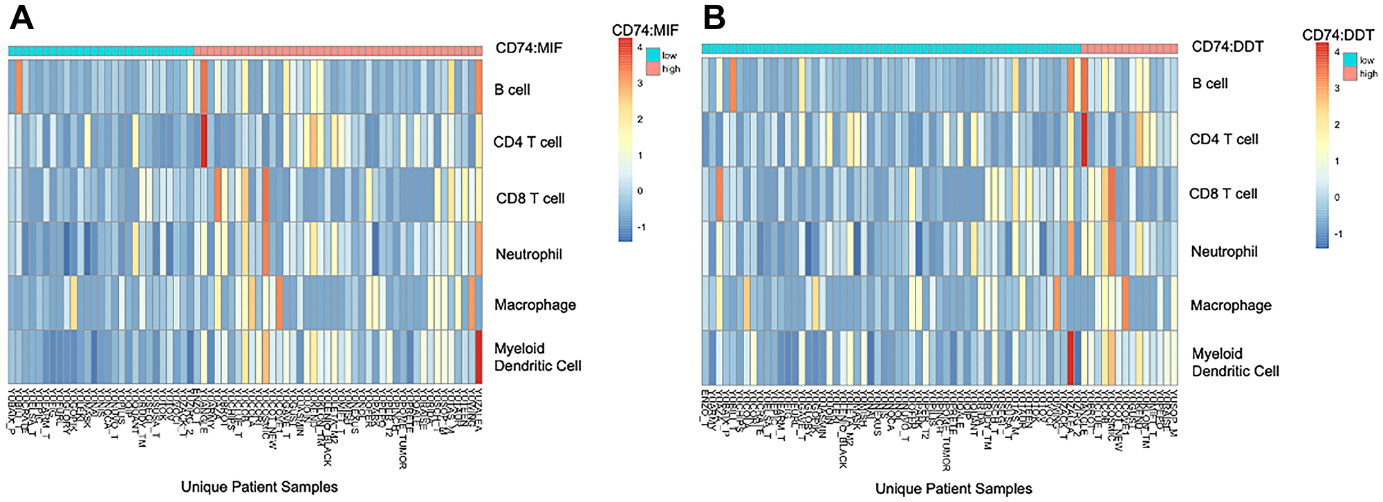 Tumor infiltrating immune cell profiling according to high (cyan) and low (salmon) CD74:MIF levels (A) and CD74:DDT levels (B) using TIMER2.0 deconvolution analysis. Cut points for high and low values was determined using the surv