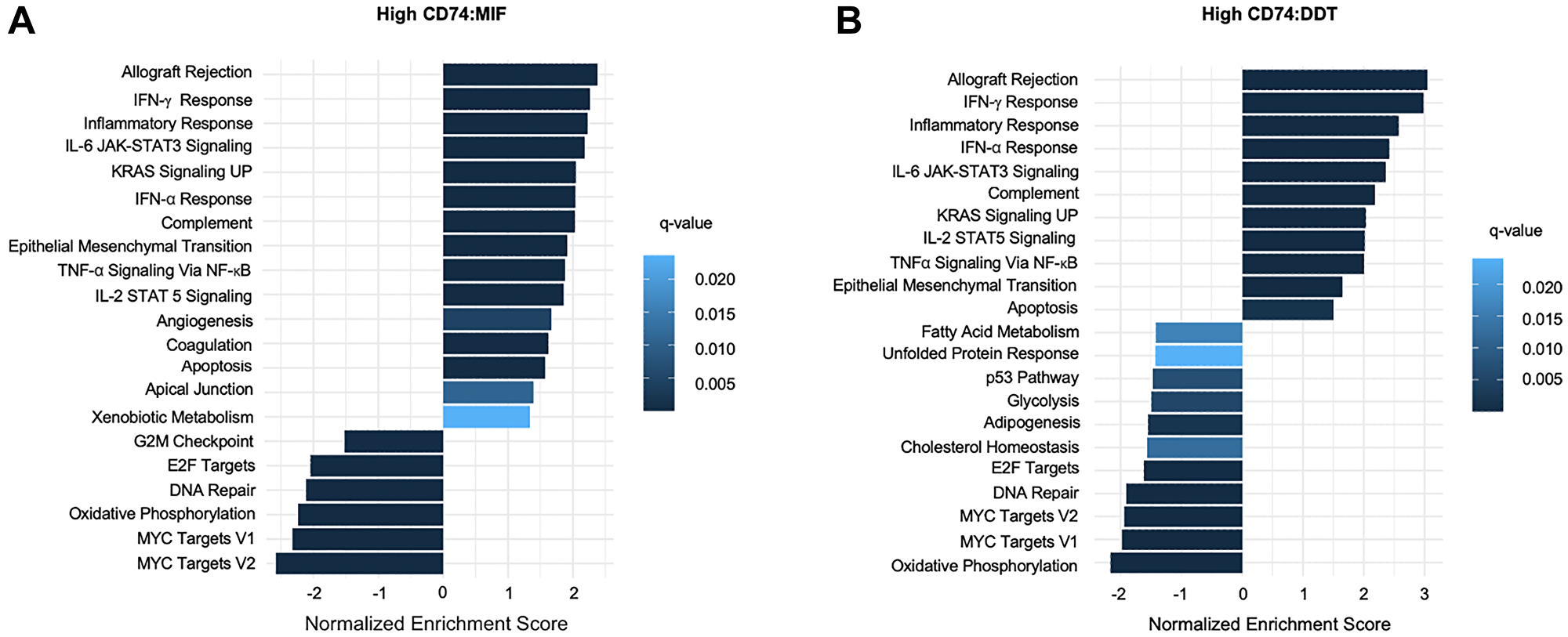 Gene Set Enrichment Analysis (GSEA) bar plot representation of (A) high CD74:MIF and (B) high CD74:DDT differentially expressed OS data using MSigDB Hallmarks gene collection set. Differential expression analysis reveals an upregulation of inflammatory-related pathways in reference to corresponding low CD74:MIF and low CD74:DDT data.