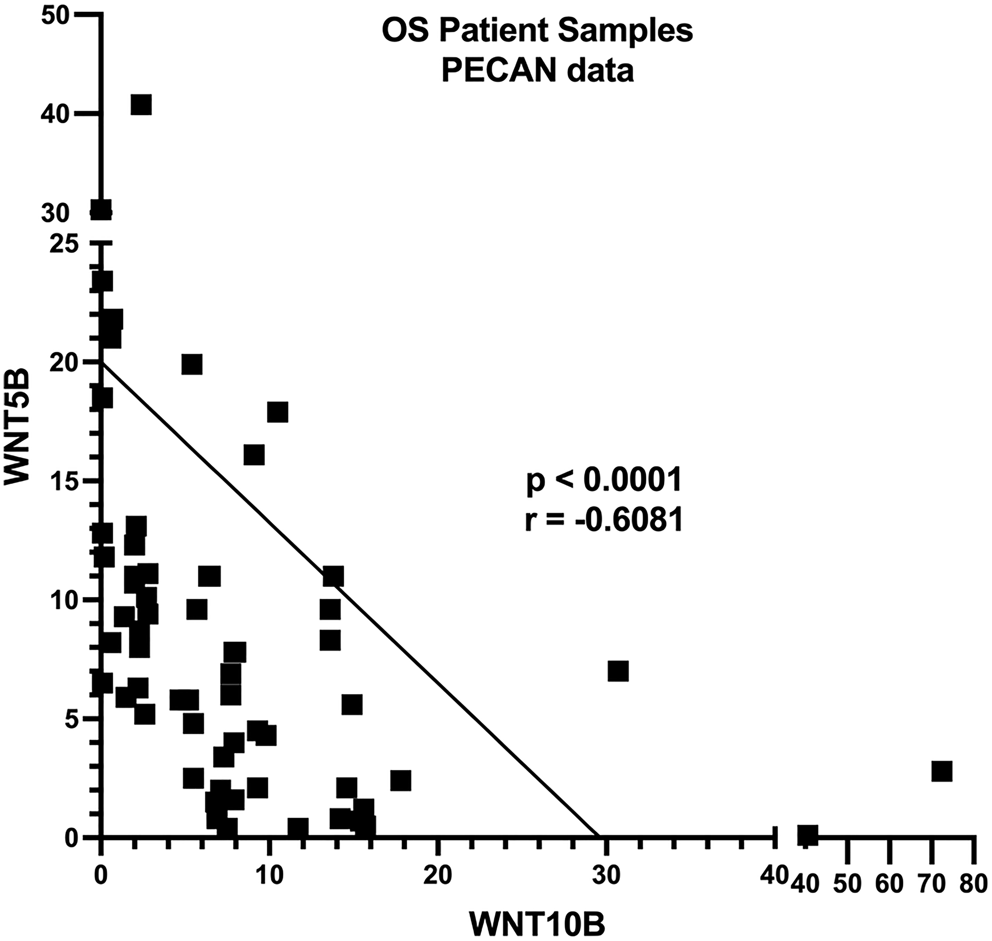WNT10B and WNT5B are not expressed in the same tumors