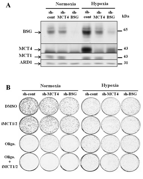 fig2