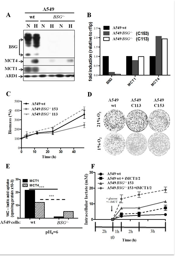 fig3