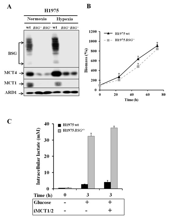 fig4