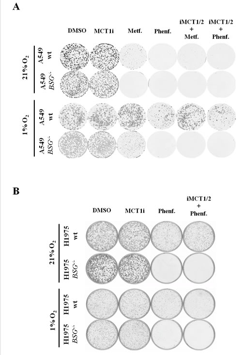 fig6