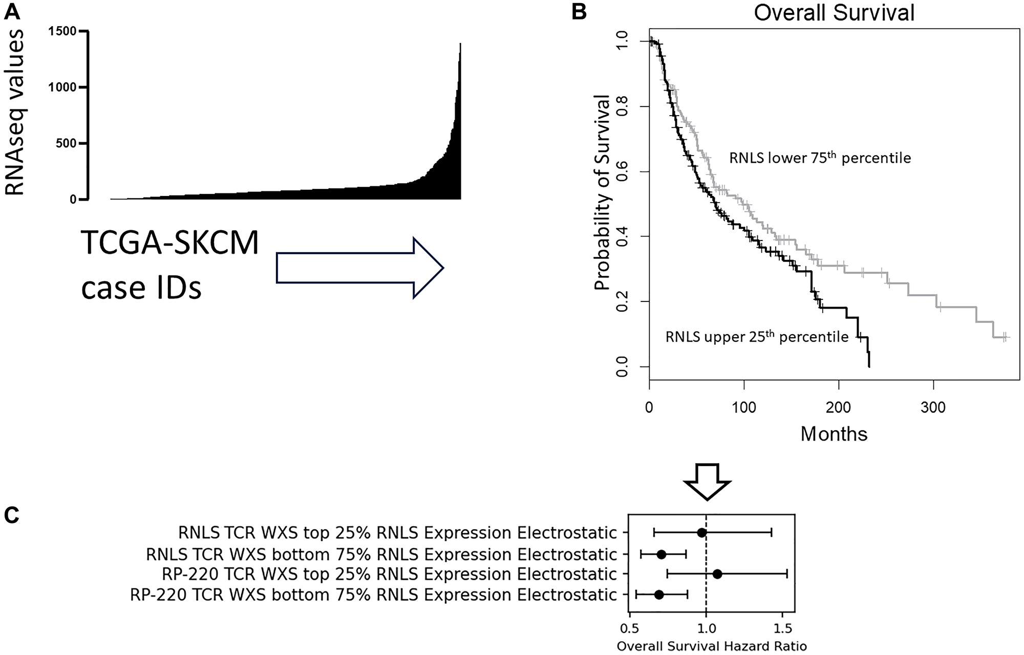 TCR CDR3-RNLS Electrostatic CSs better reflect a higher OS probability when the RNLS expression is low