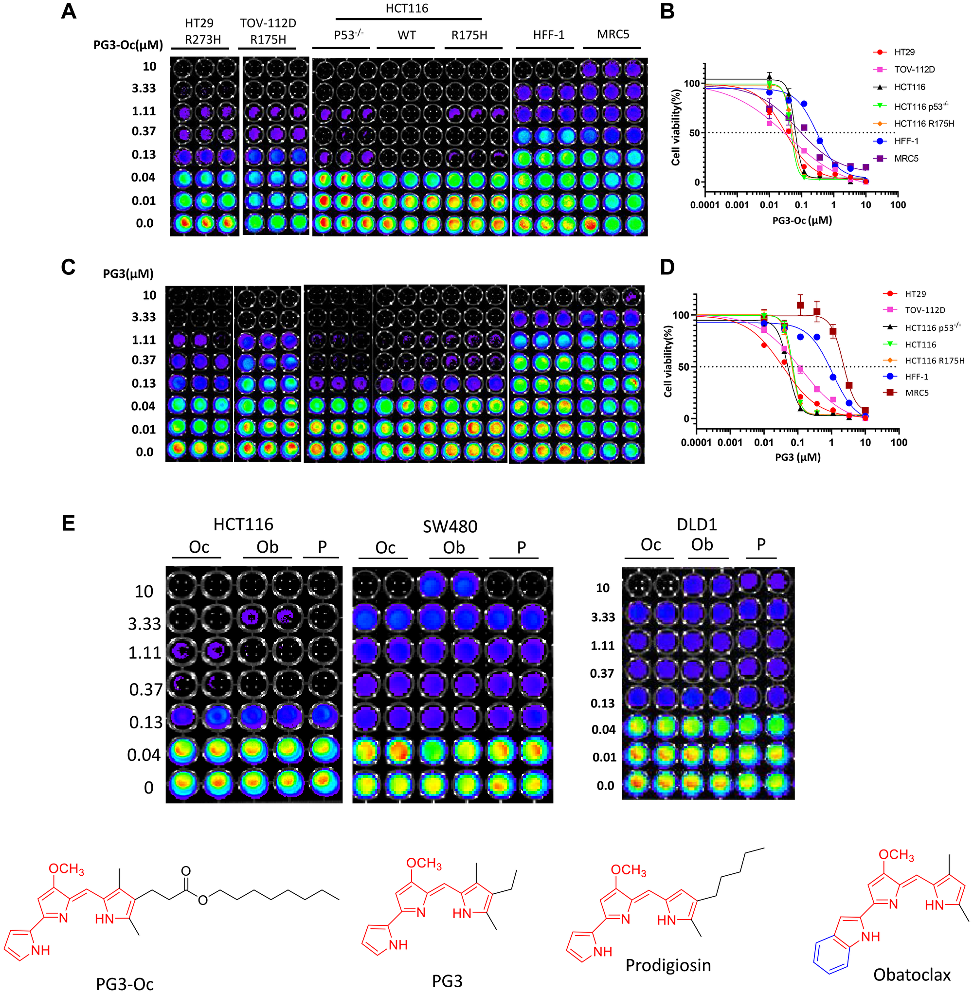 PG3 inhibits cell proliferation and growth in a p53-indepent manner