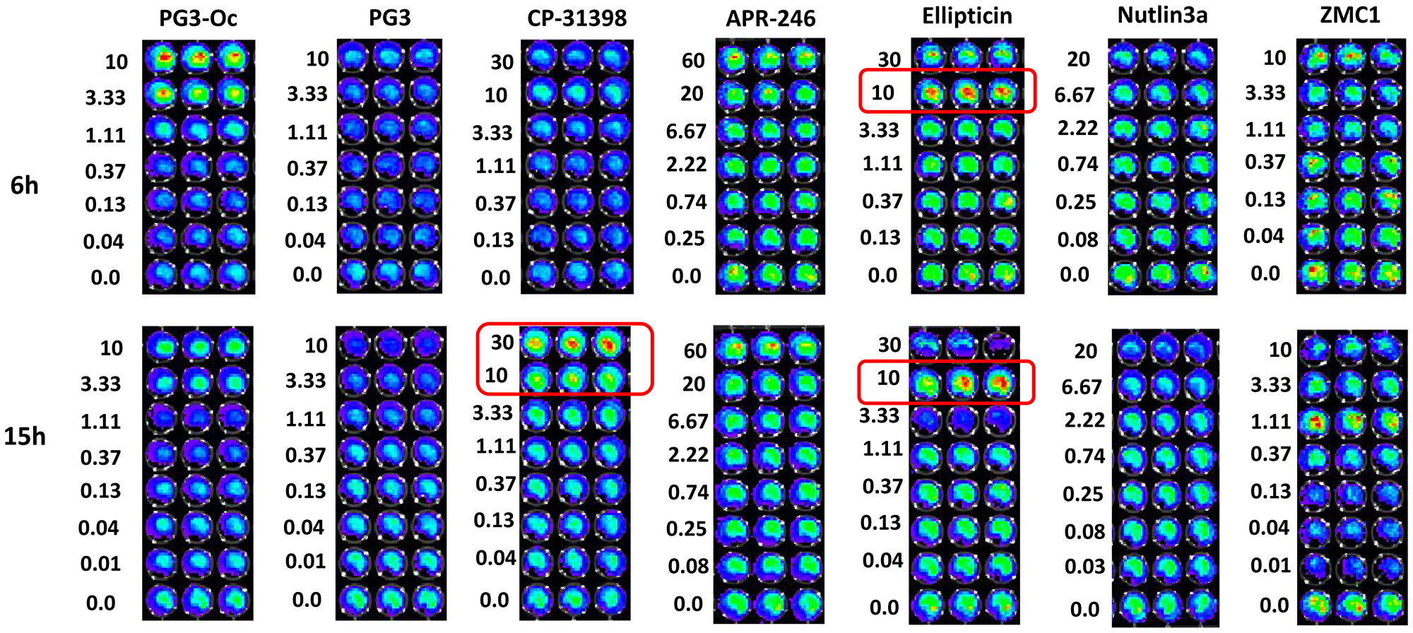 PG3 does not activate p53-responsive reporter activity
